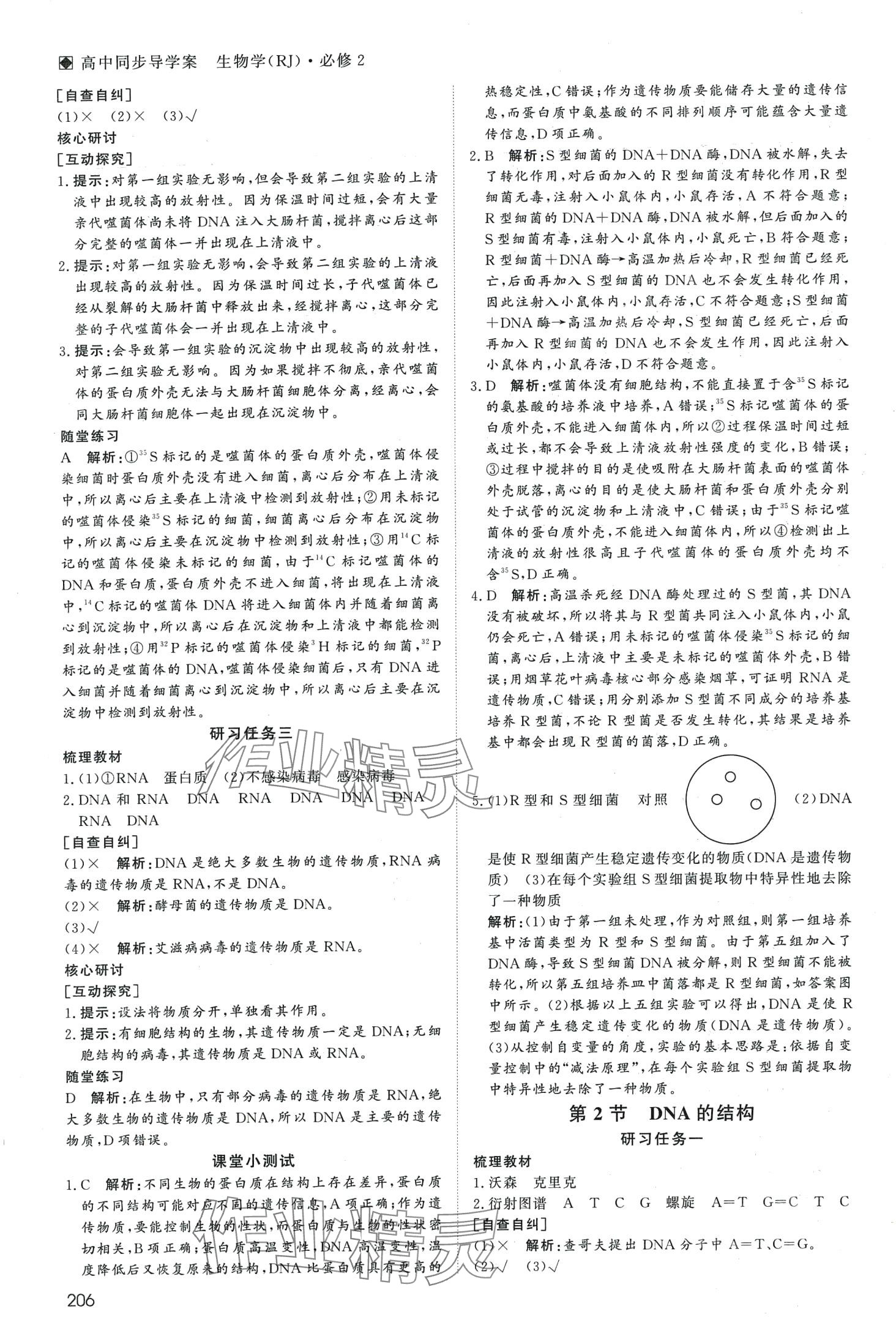 2024年名師伴你行高中同步導(dǎo)學(xué)案高中生物必修2人教版 第11頁