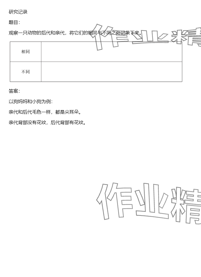 2024年同步實踐評價課程基礎(chǔ)訓練六年級科學下冊教科版 參考答案第100頁