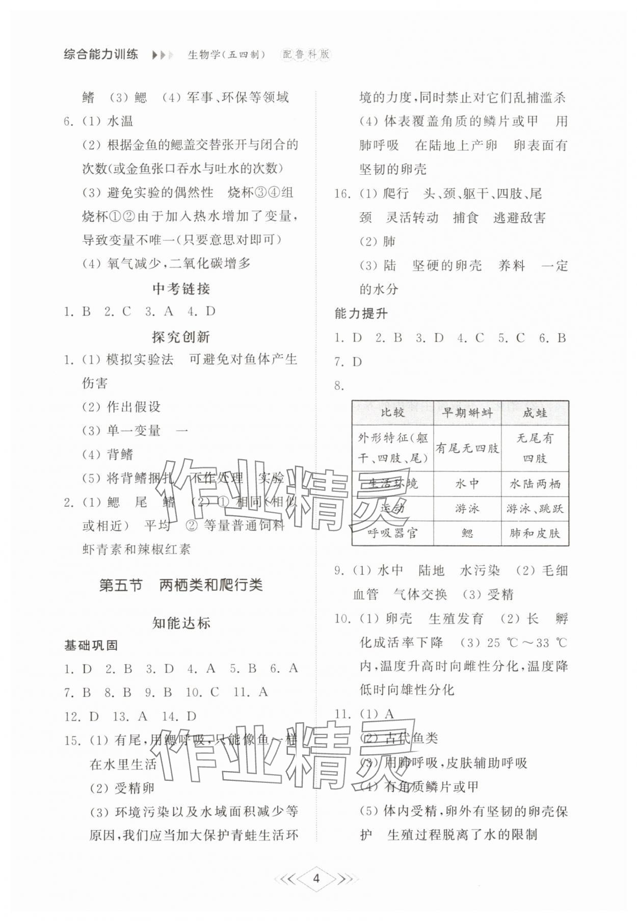 2024年综合能力训练八年级生物上册鲁科版54制 参考答案第4页