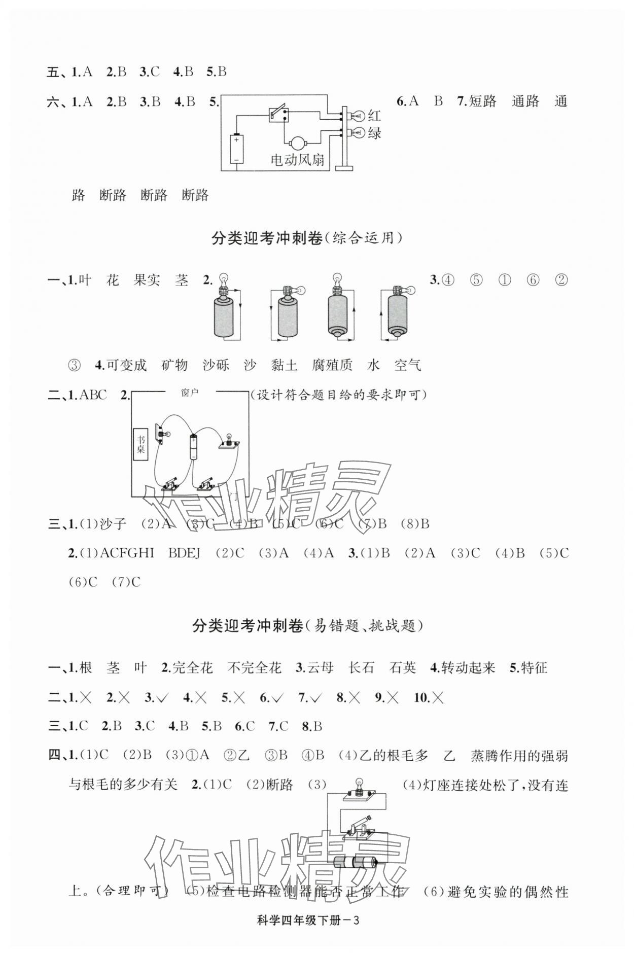 2025年浙江各地期末迎考卷四年級科學(xué)下冊教科版 第3頁