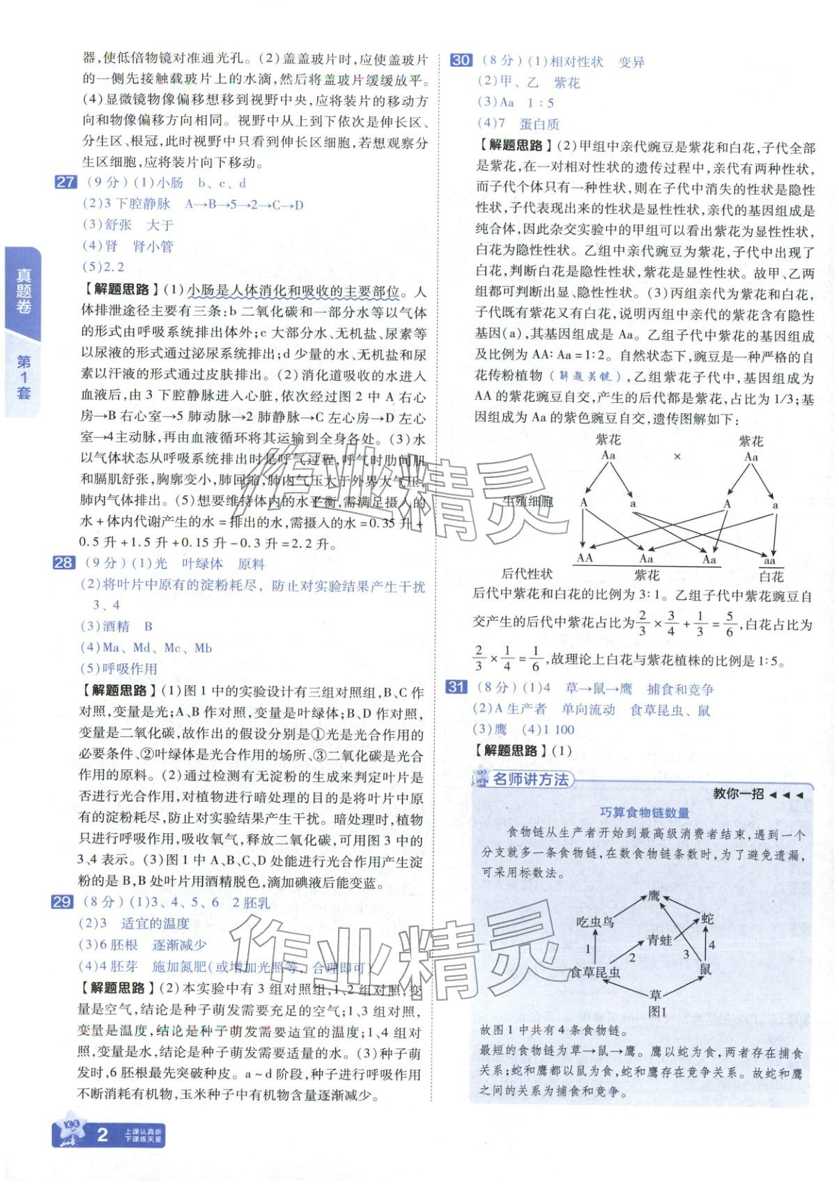 2026年金考卷中考试题汇编45套生物山东专版 第2页