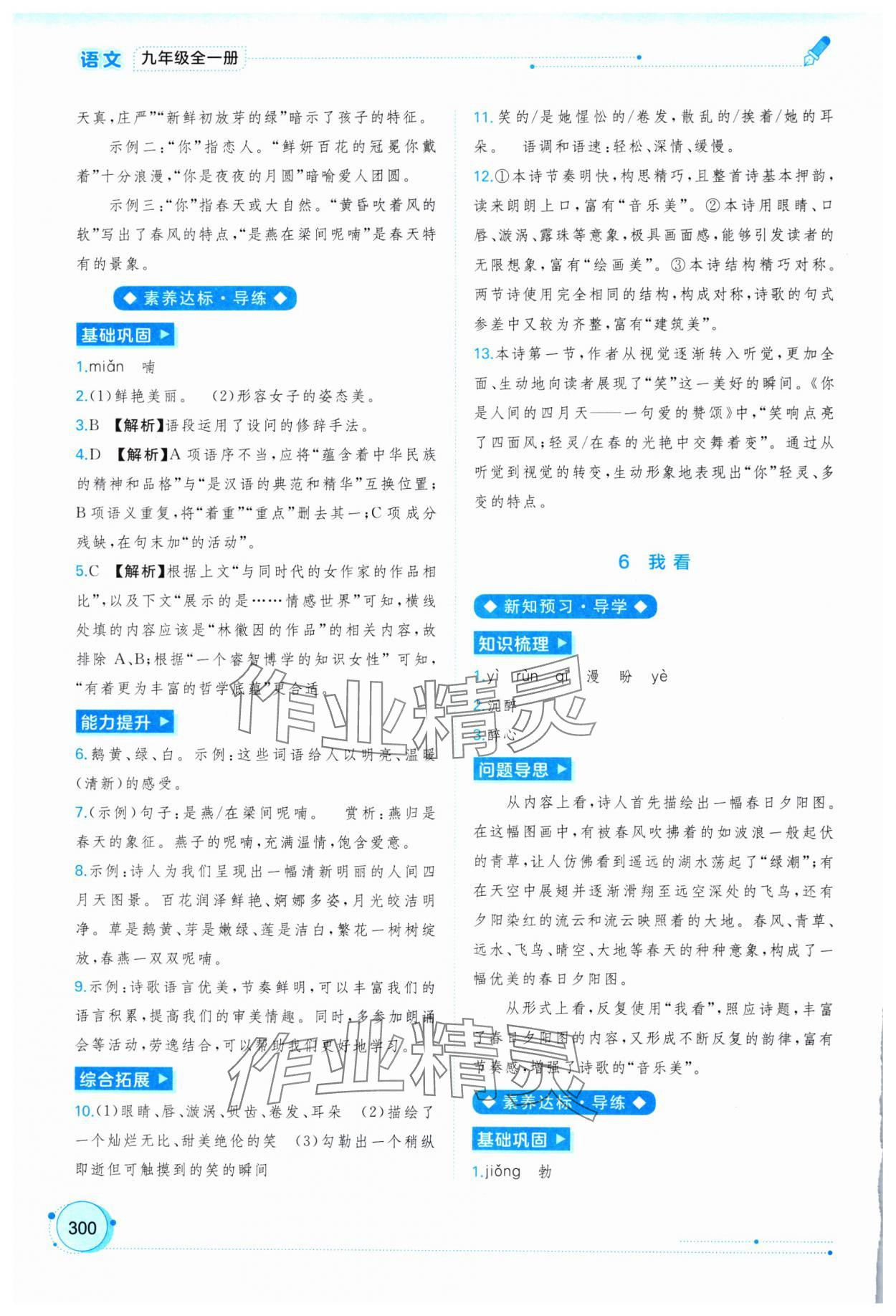 2025年新課程學(xué)習(xí)與測評同步學(xué)習(xí)九年級語文全一冊人教版&nbsp;第4頁