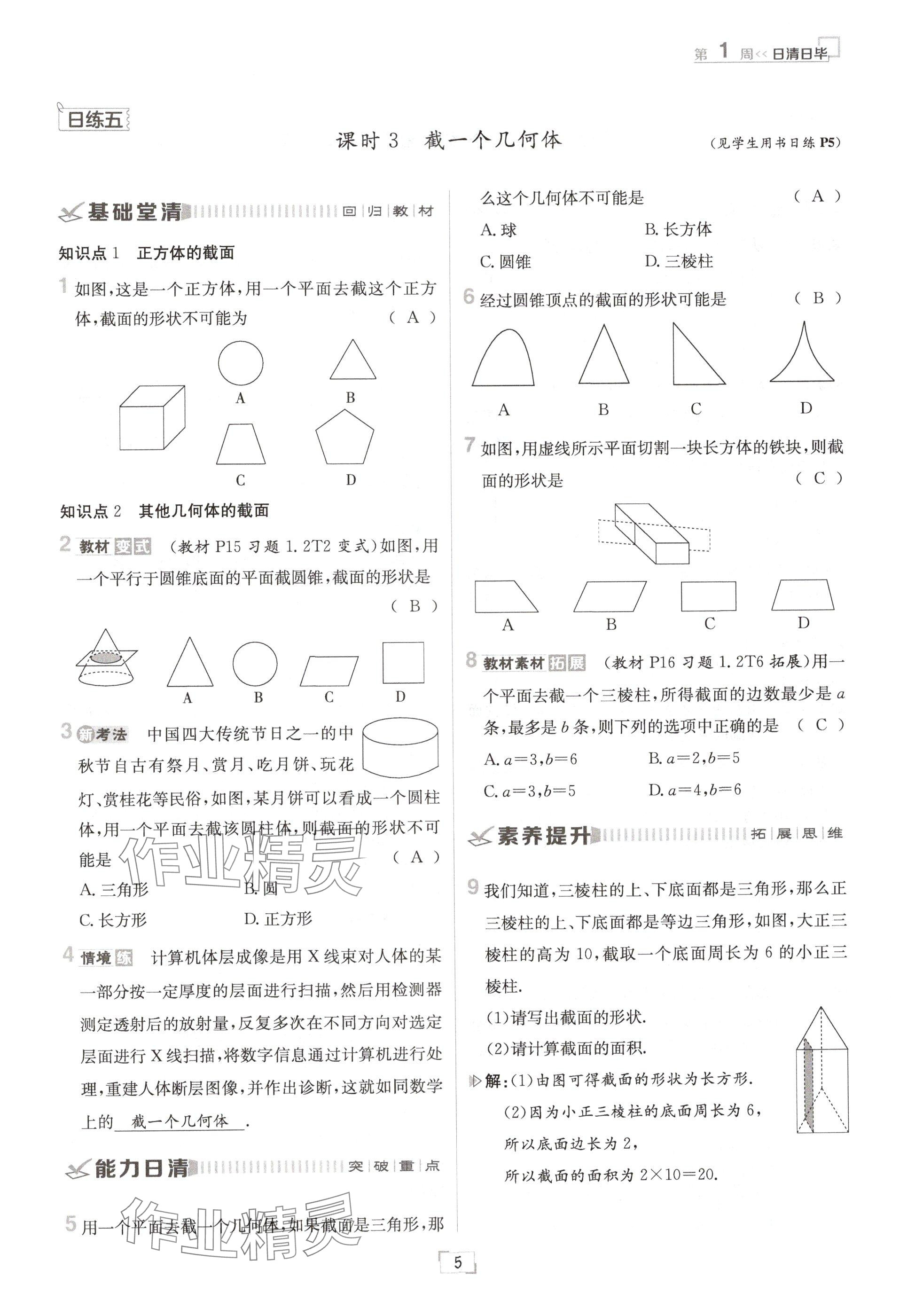 2024年日清周练七年级数学上册北师大版 参考答案第5页