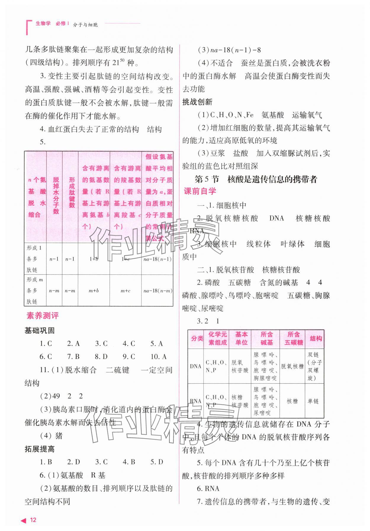2025年普通高中新课程同步练习册高中生物必修1人教版&nbsp;第12页