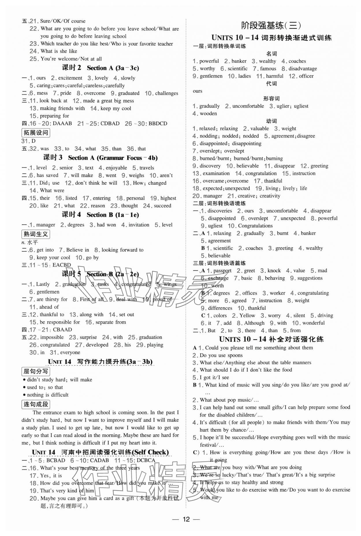 2025年点拨训练九年级英语全一册人教版河南专版 第12页