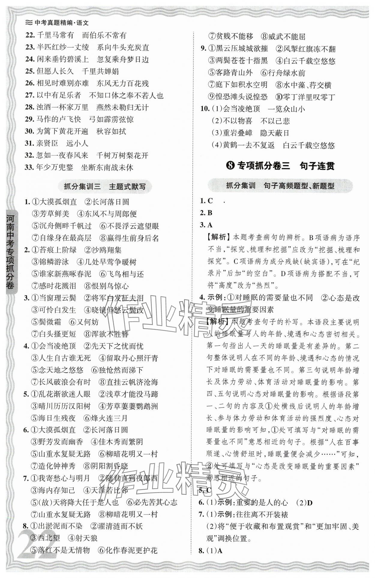 2024年王朝霞中考真题精编语文河南中考 参考答案第22页