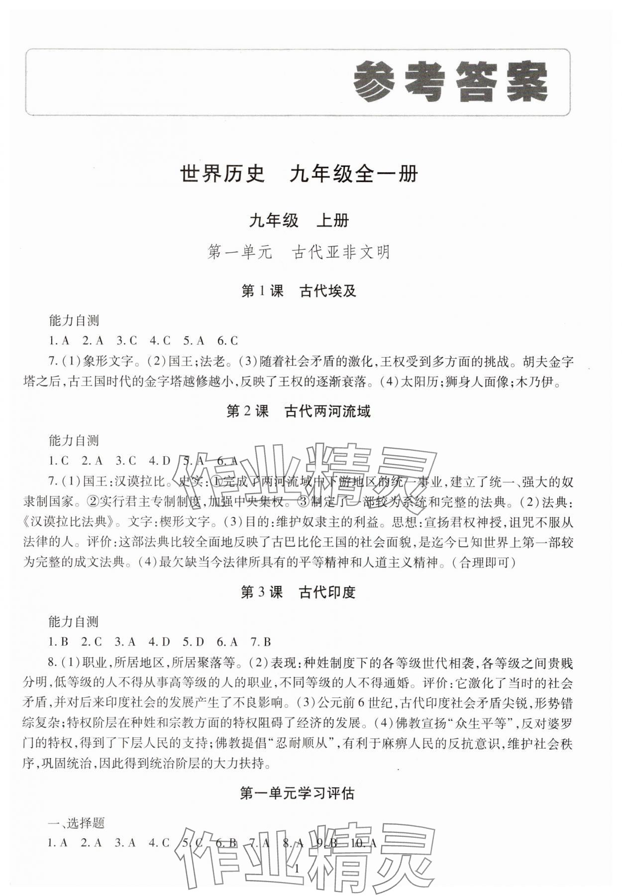 2023年智慧學(xué)習(xí)導(dǎo)學(xué)練九年級歷史全一冊人教版 第1頁