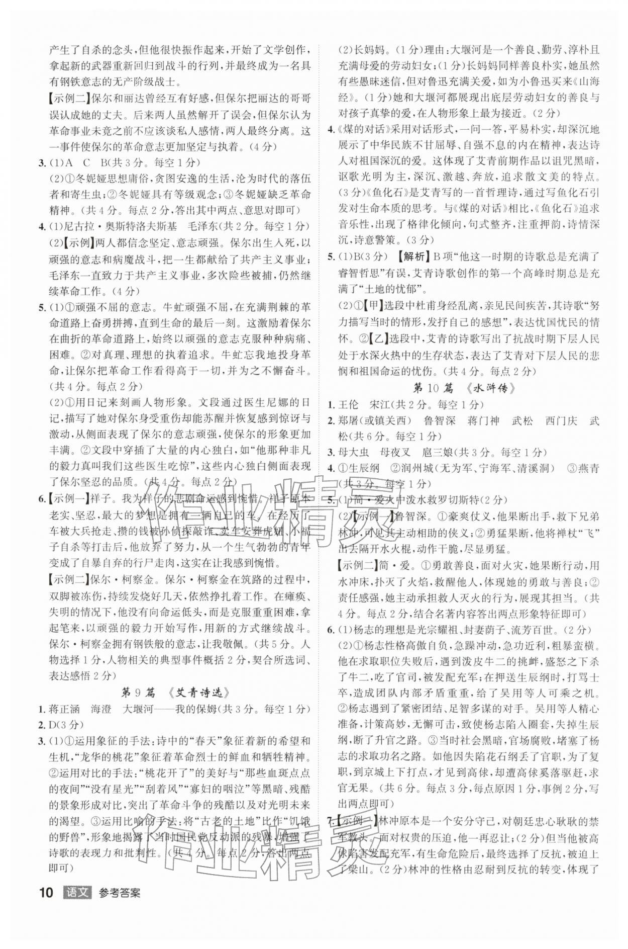 2026年中考总复习名师A计划语文中考&nbsp;第10页