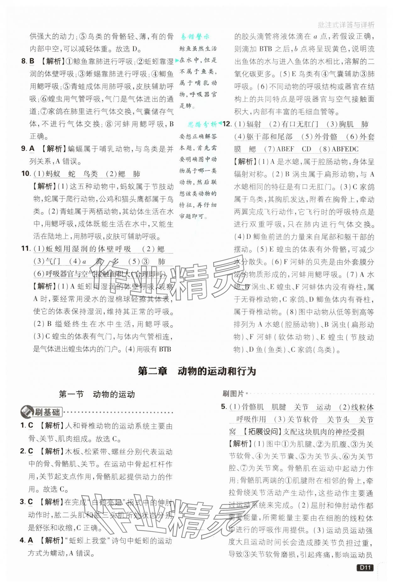 2024年初中必刷题八年级生物上册人教版&nbsp;第11页