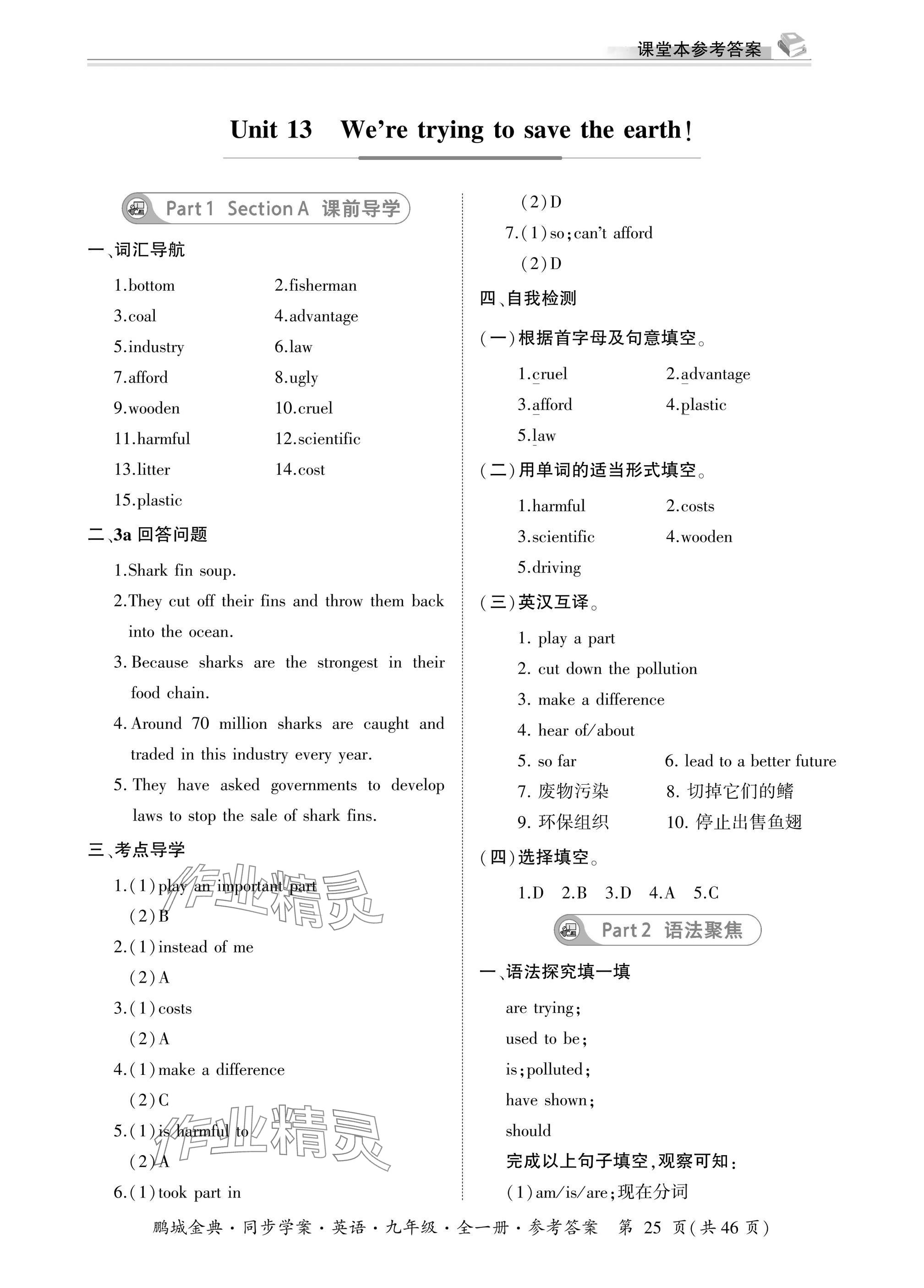 2025年名师帮同步学案九年级英语全一册人教版 参考答案第25页