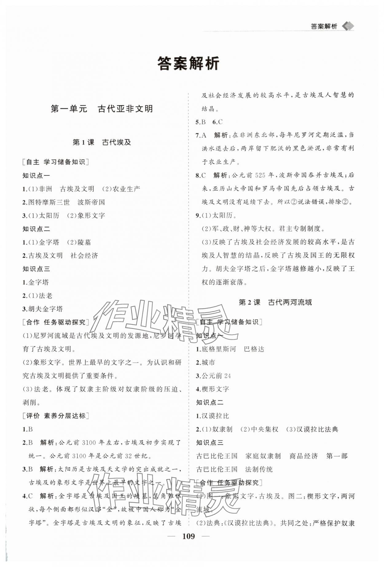 2025年新课程同步练习册九年级历史上册人教版 第1页