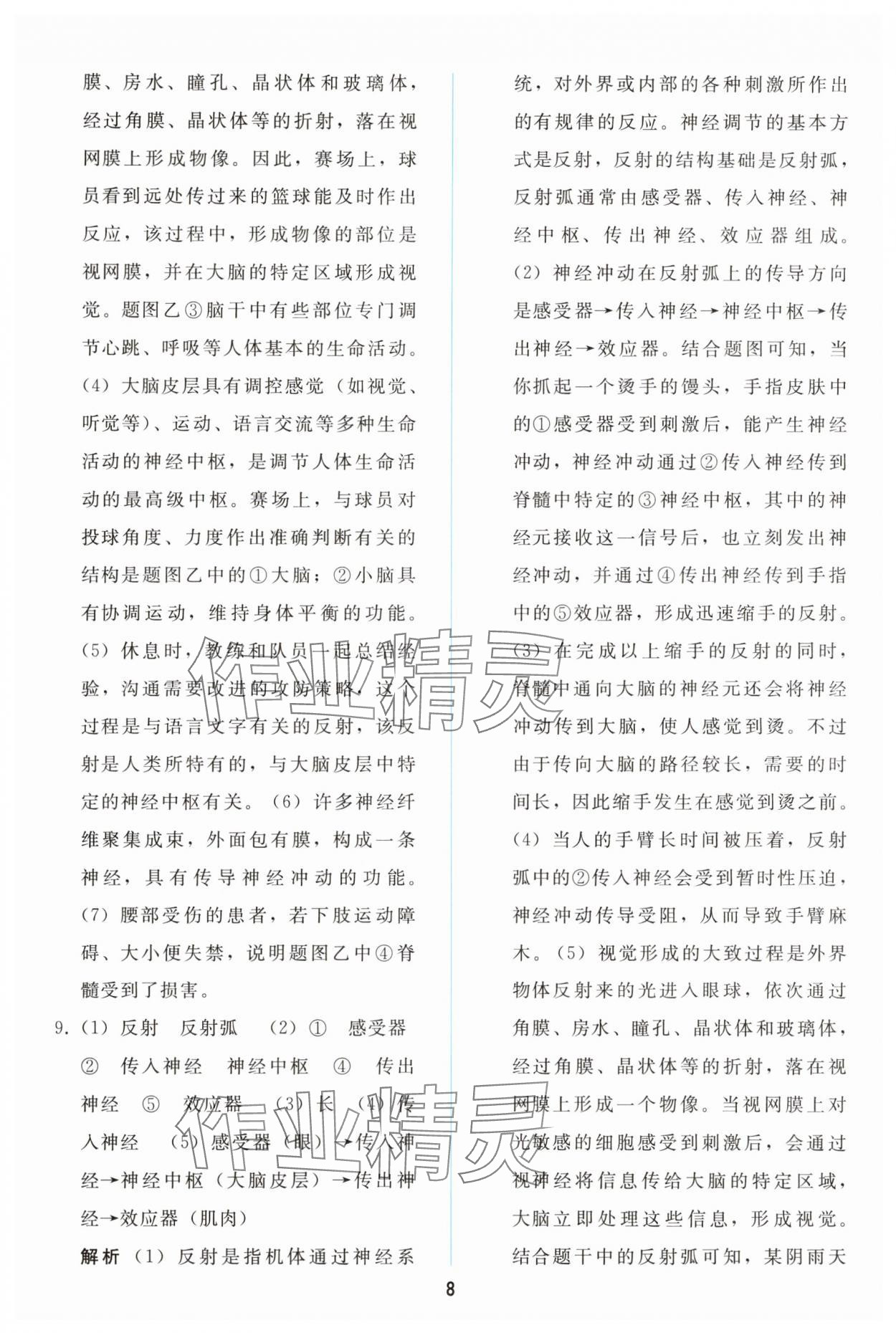 2025年同步轻松练习八年级生物上册人教版精编版 参考答案第7页