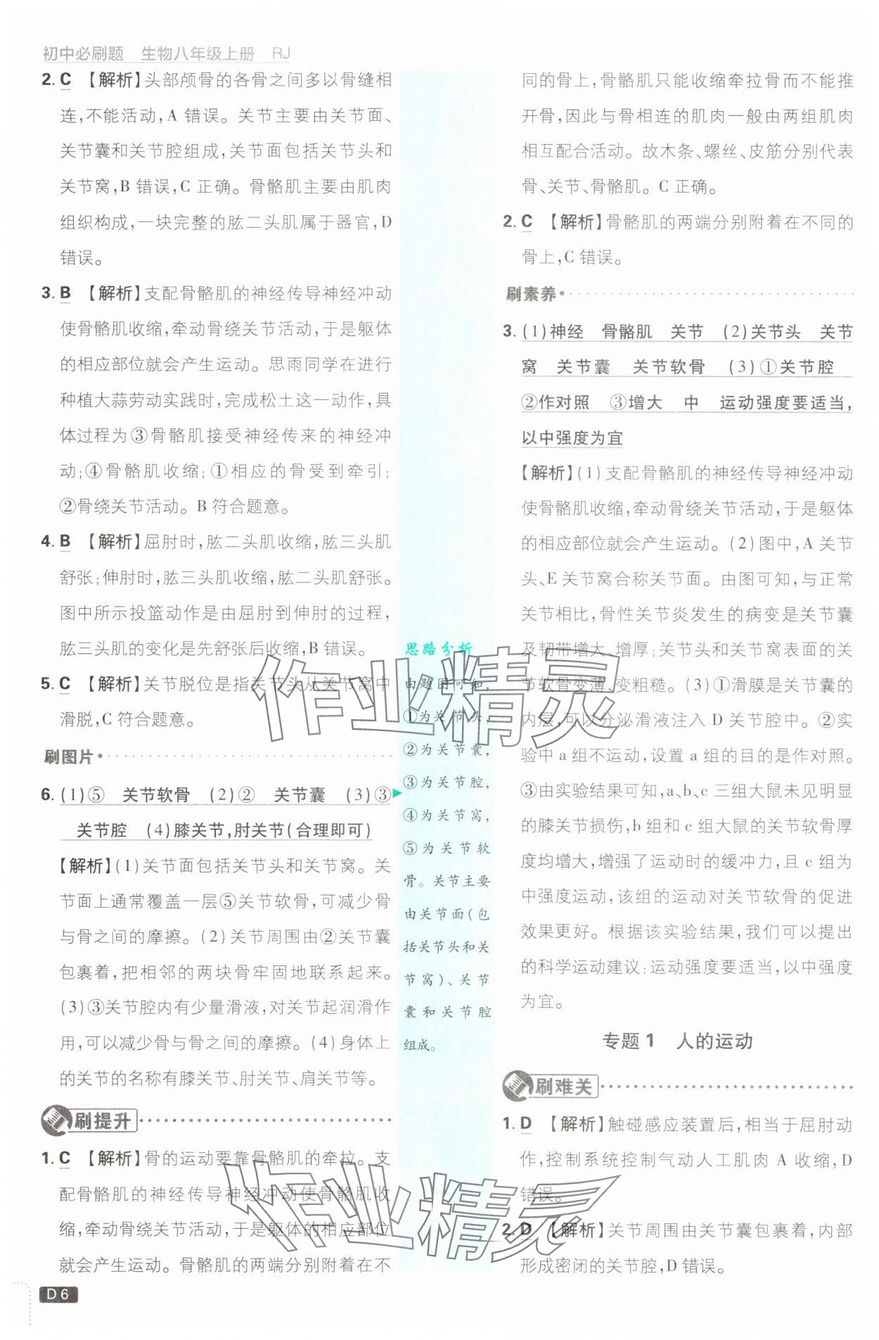 2025年初中必刷題八年級生物上冊人教版 第6頁