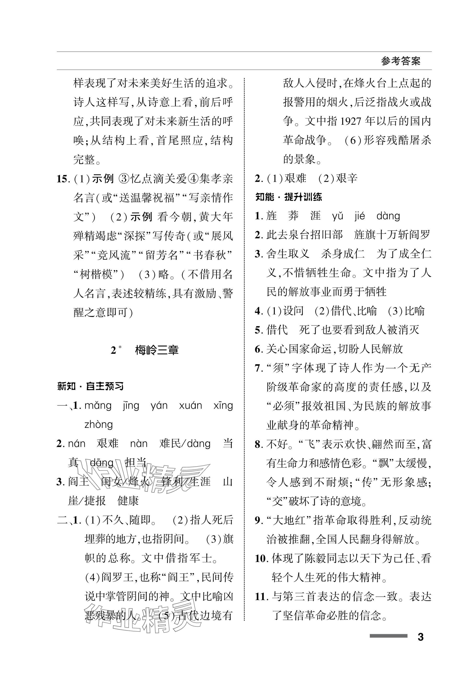 2025年配套綜合練習甘肅九年級語文下冊人教版 參考答案第3頁