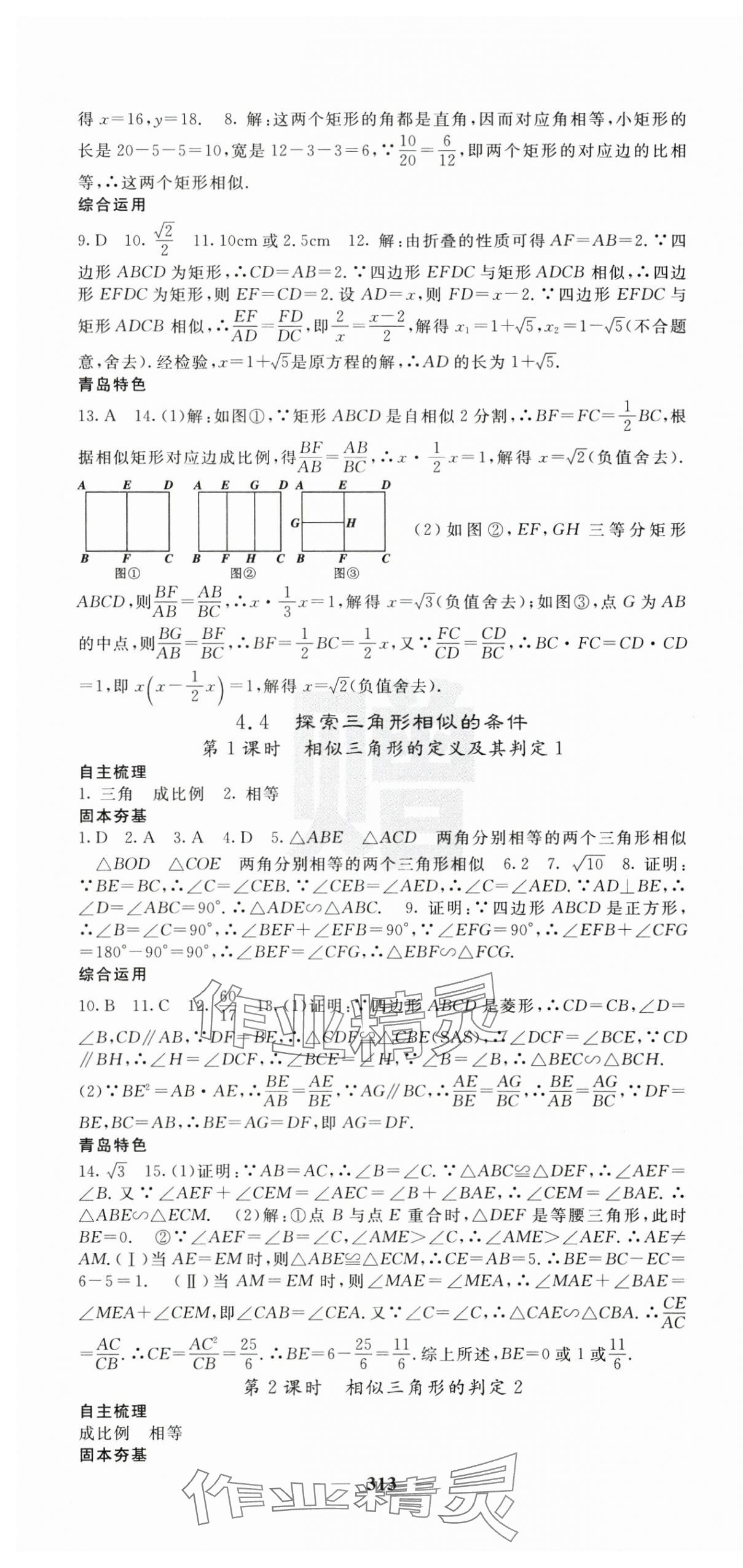 2024年名校課堂內(nèi)外九年級(jí)數(shù)學(xué)全一冊(cè)北師大版青島專版 第16頁(yè)