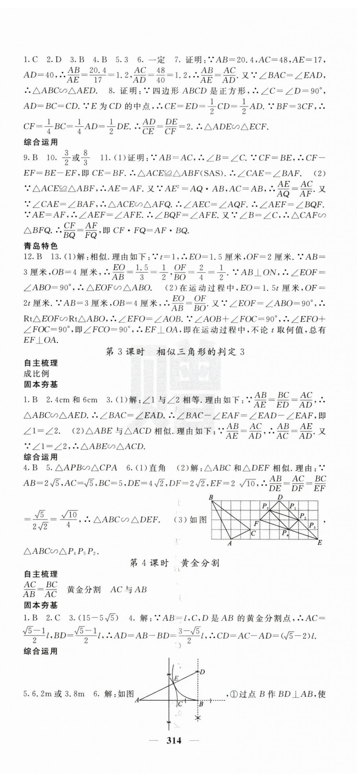 2024年名校課堂內(nèi)外九年級數(shù)學(xué)全一冊北師大版青島專版 第17頁