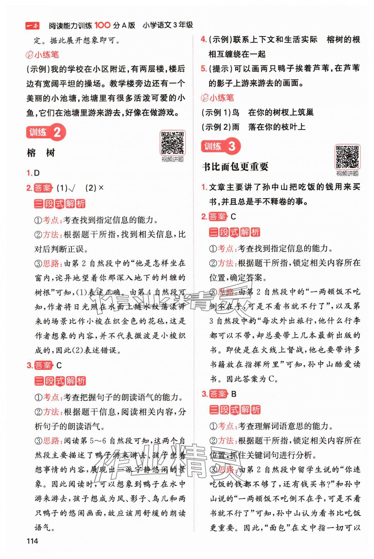 2024年一本閱讀能力訓(xùn)練100分三年級語文上冊人教版浙江專版 參考答案第2頁