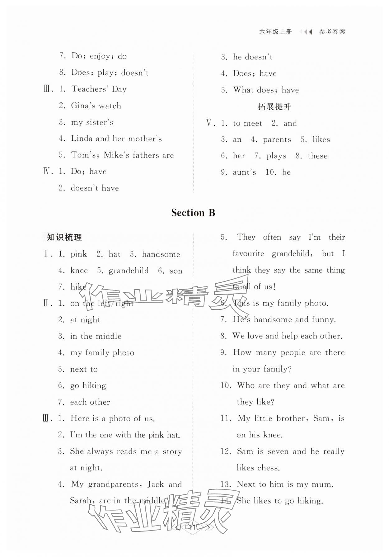 2024年综合能力训练六年级英语上册鲁教版54制 参考答案第11页