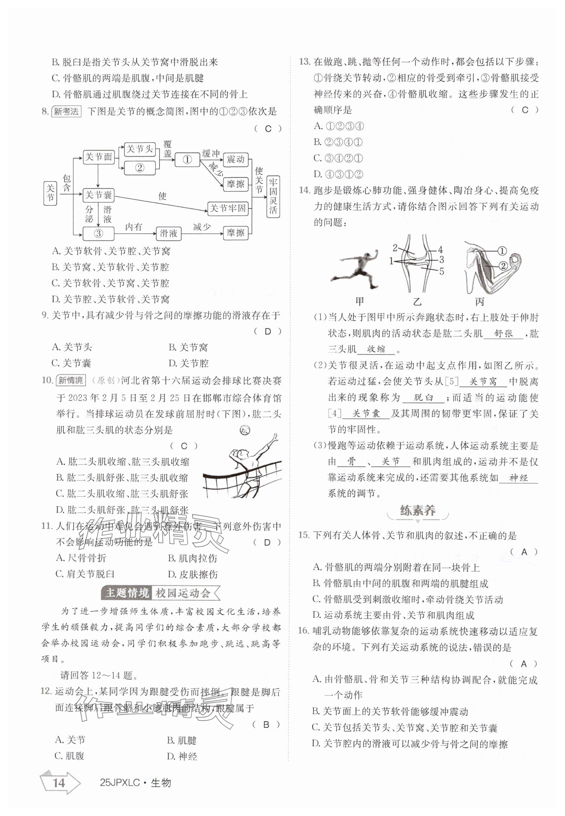 2024年金牌學(xué)練測八年級生物上冊人教版 參考答案第14頁