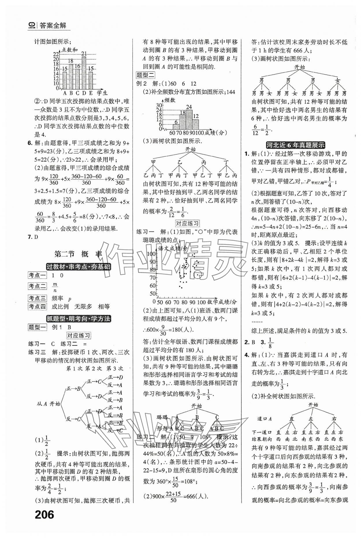 2024年全優(yōu)中考系統(tǒng)總復(fù)習(xí)數(shù)學(xué)河北專用 參考答案第20頁(yè)