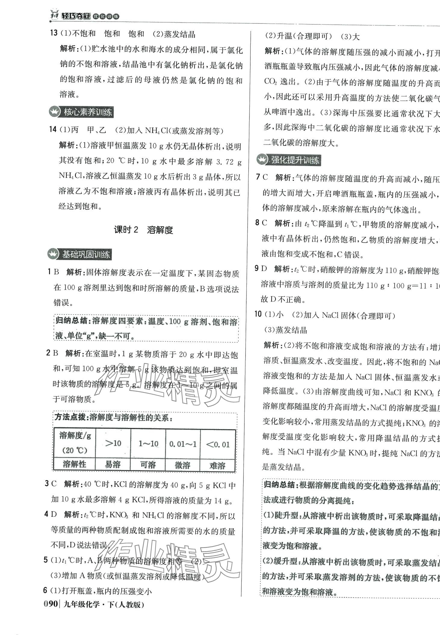 2024年1加1轻巧夺冠优化训练九年级化学下册人教版 第11页