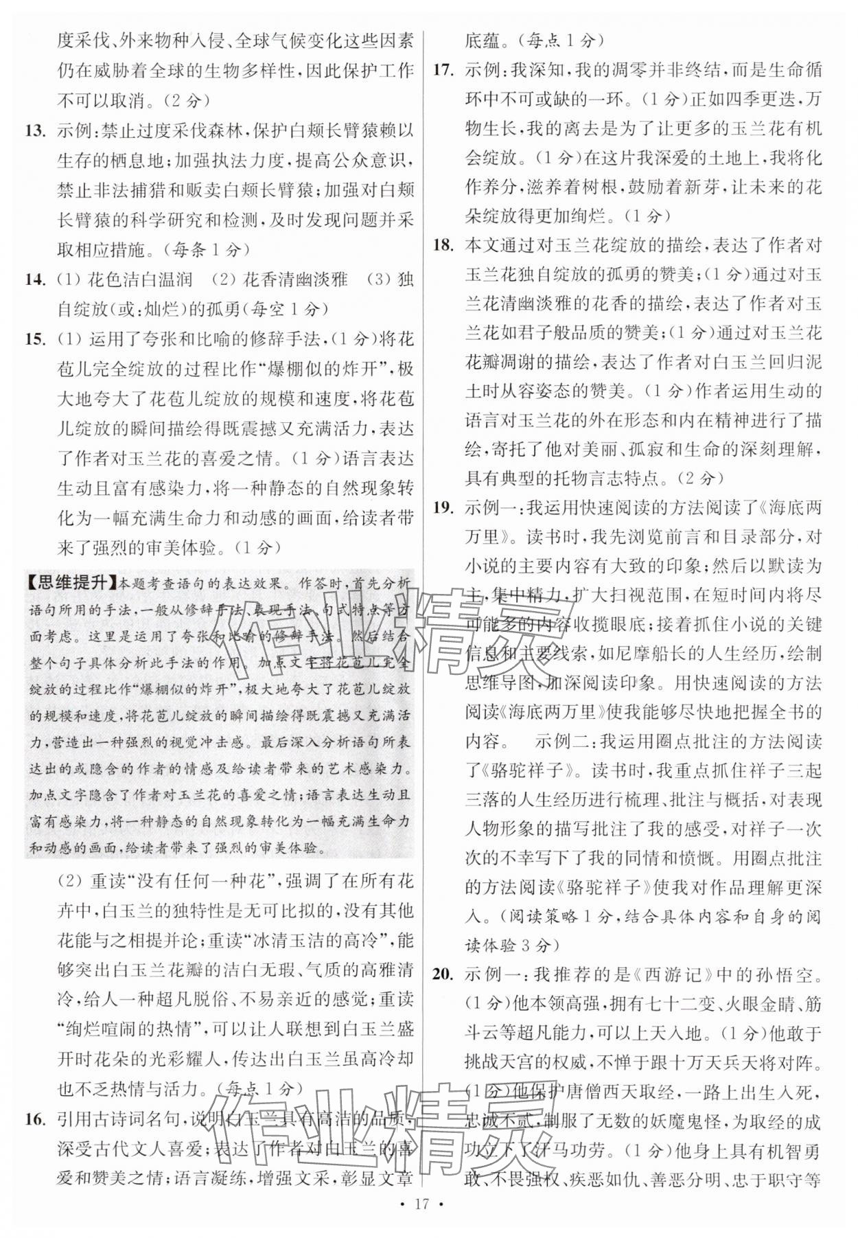 2025年江蘇13大市中考試卷與標準模擬優(yōu)化38套中考語文提優(yōu)版 第17頁