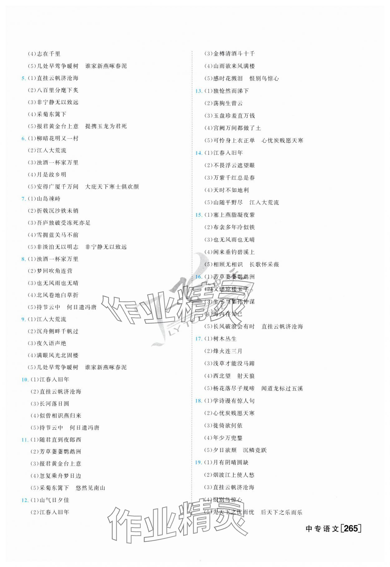 2025年一飛沖天中考專項精品試題分類語文 參考答案第9頁