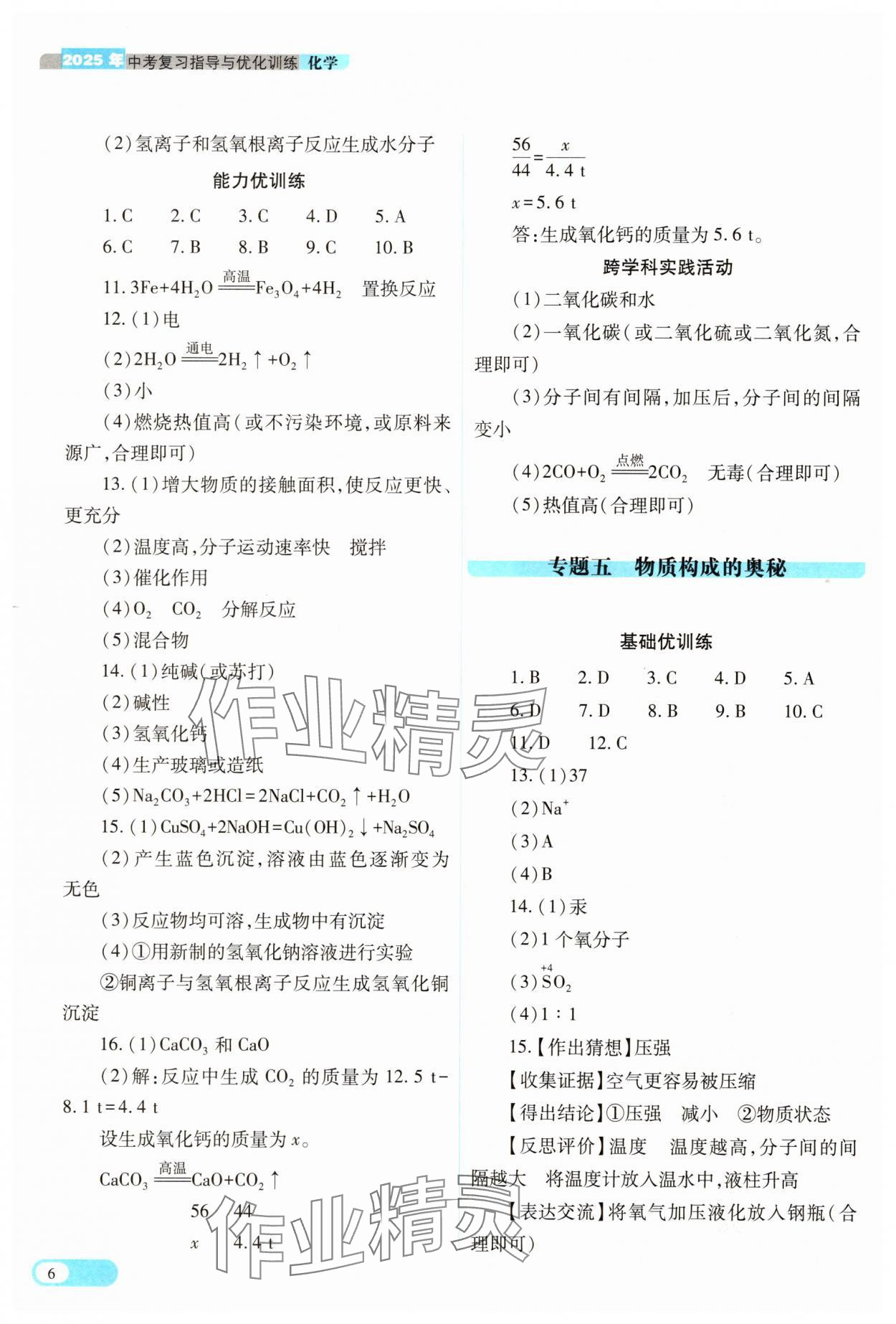 2025年中考復習指導與優(yōu)化訓練化學 參考答案第6頁