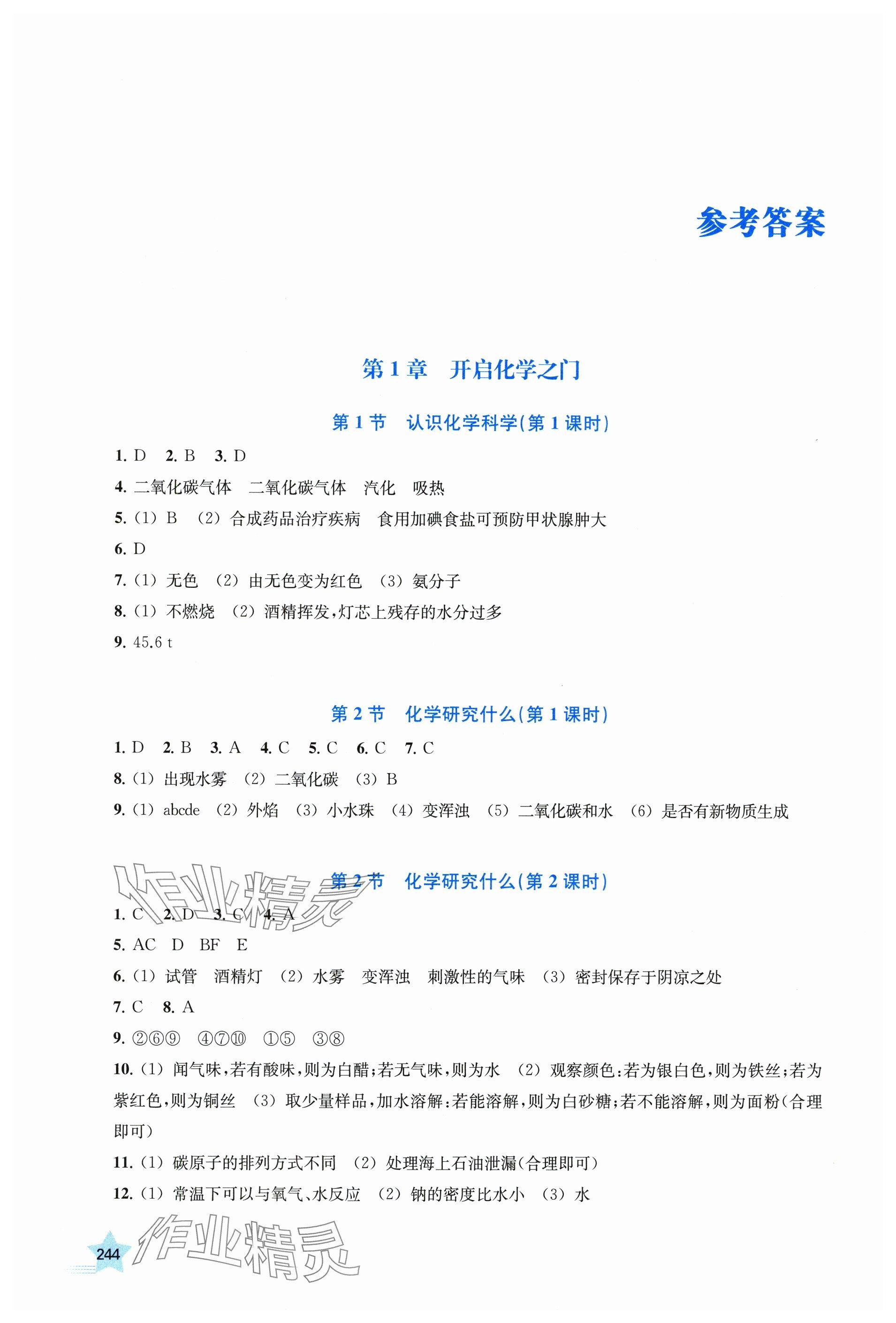 2025年探究与训练九年级化学全一册沪教版 参考答案第1页