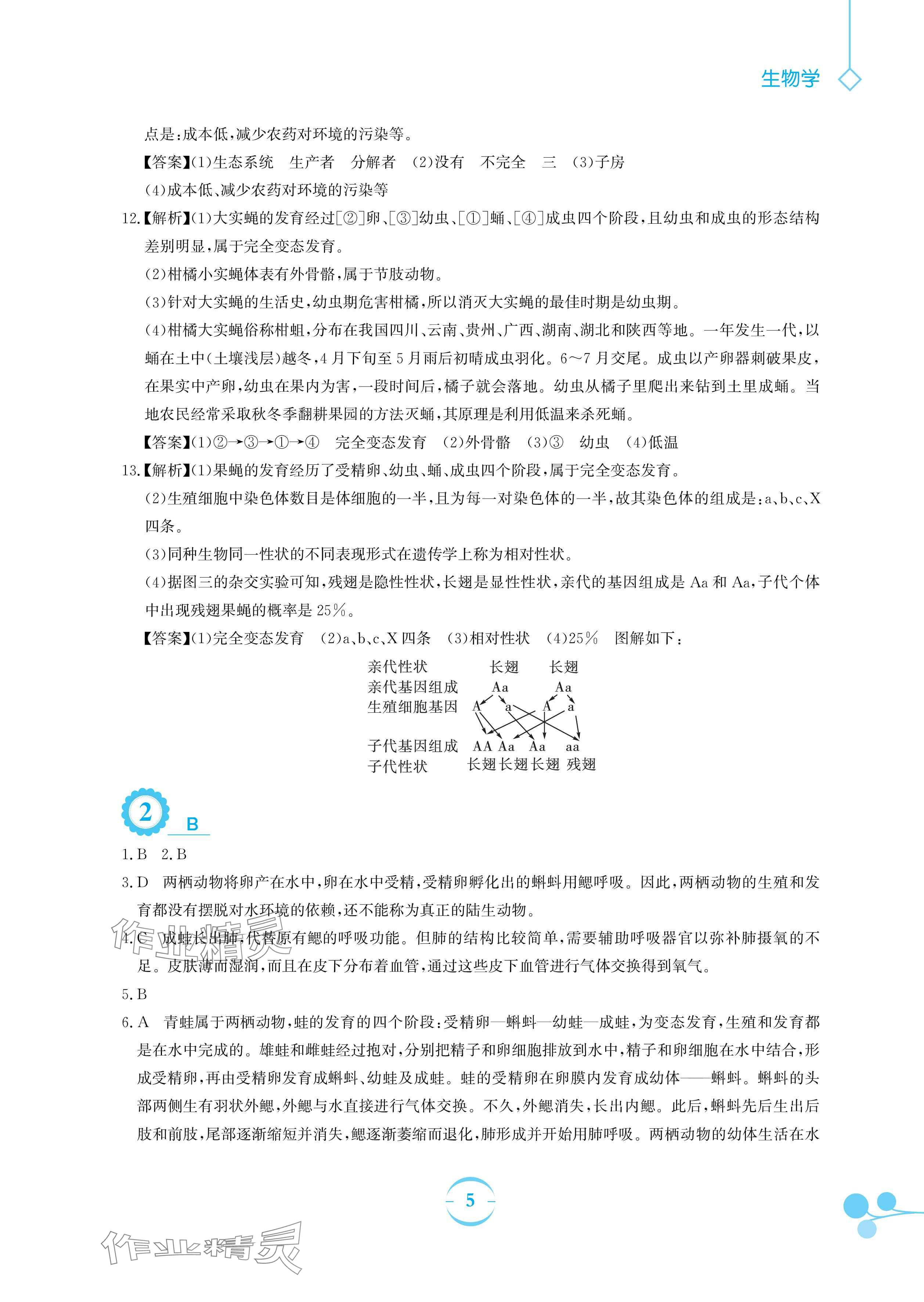 2024年暑假作业安徽教育出版社八年级生物苏教版 参考答案第5页