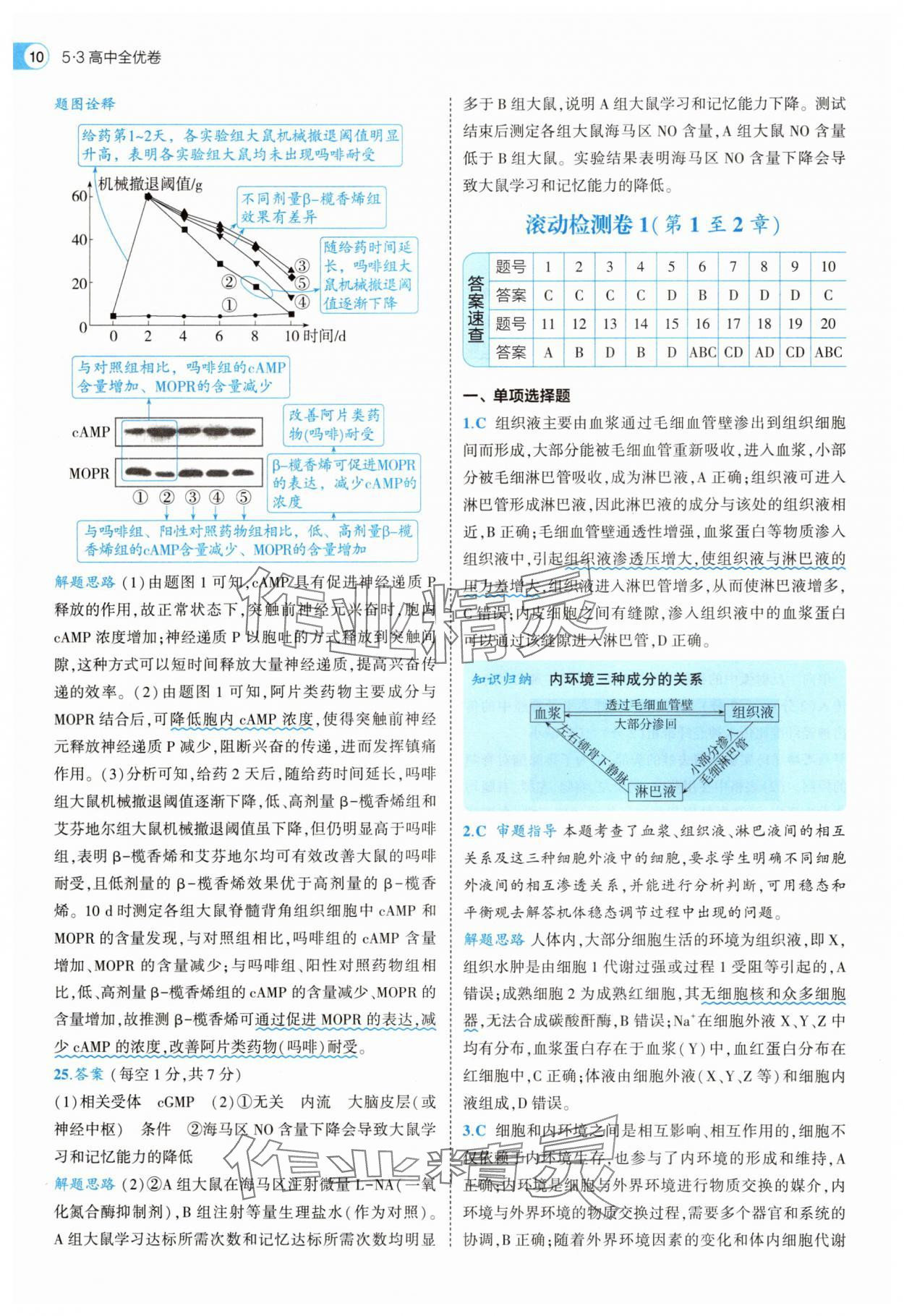 2025年53全優(yōu)卷生物選擇性必修1人教版 第10頁
