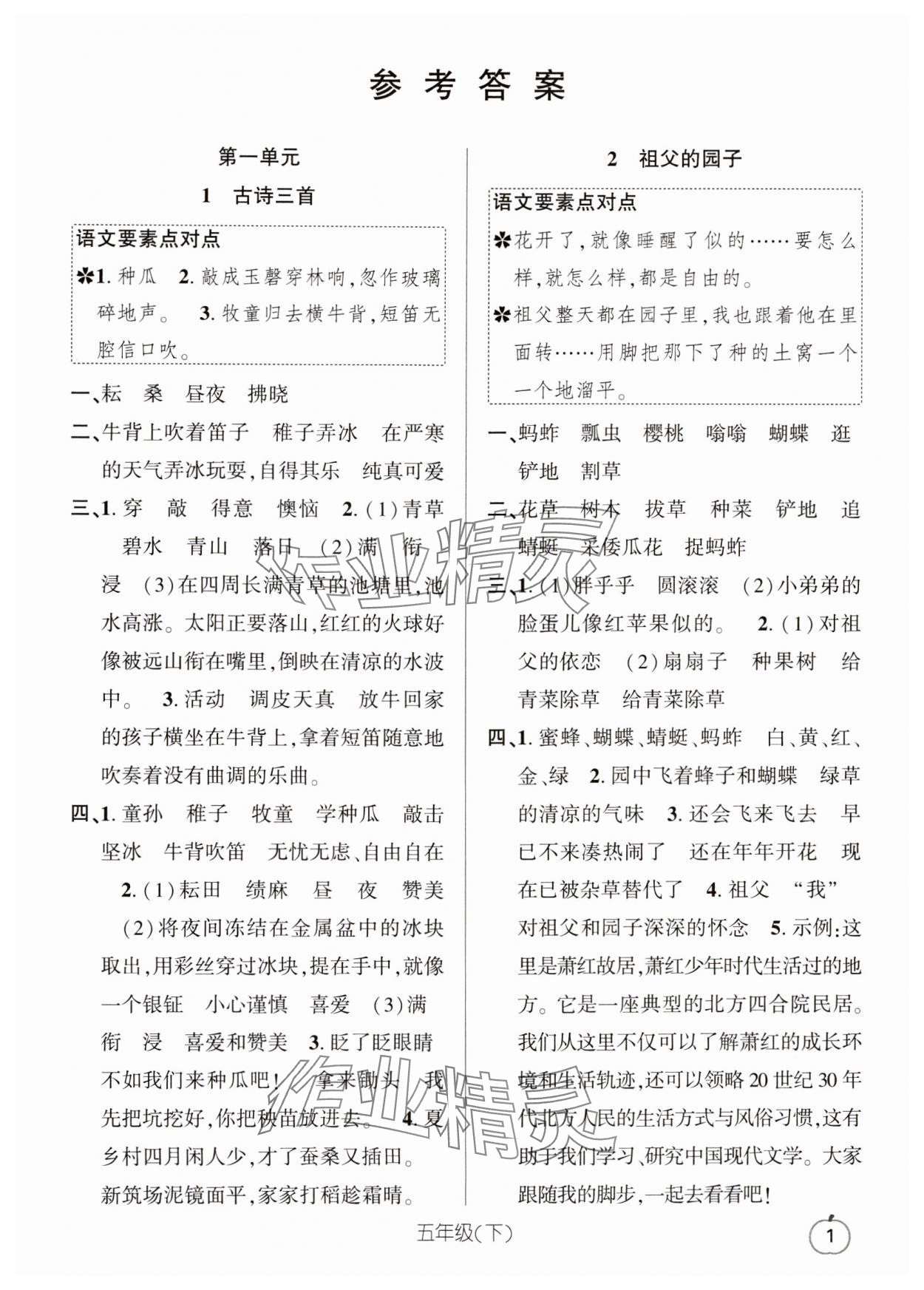 2024年语文要素天天练五年级语文下册人教版浙江专版 参考答案第1页