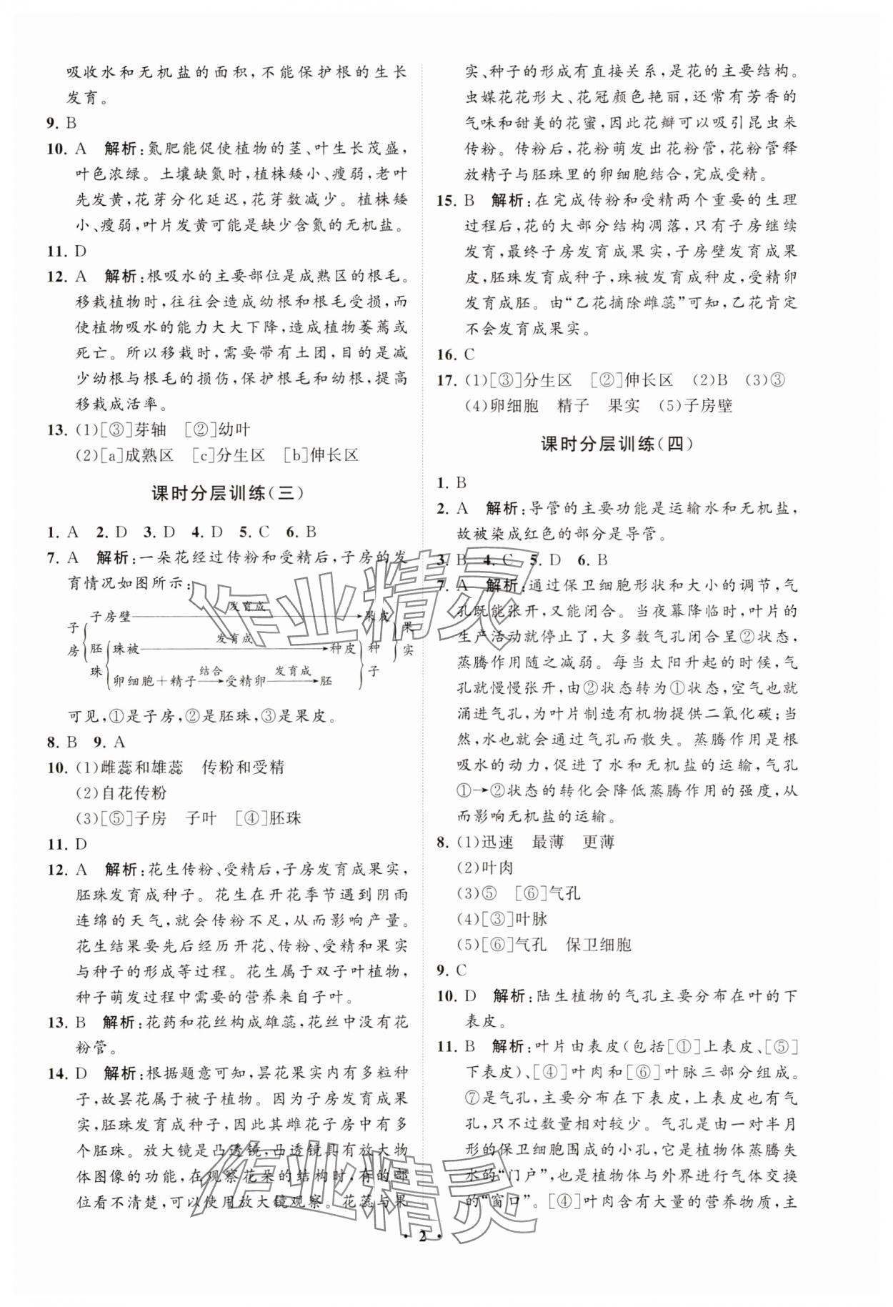 2025年同步练习册分层卷七年级生物下册人教版 参考答案第2页