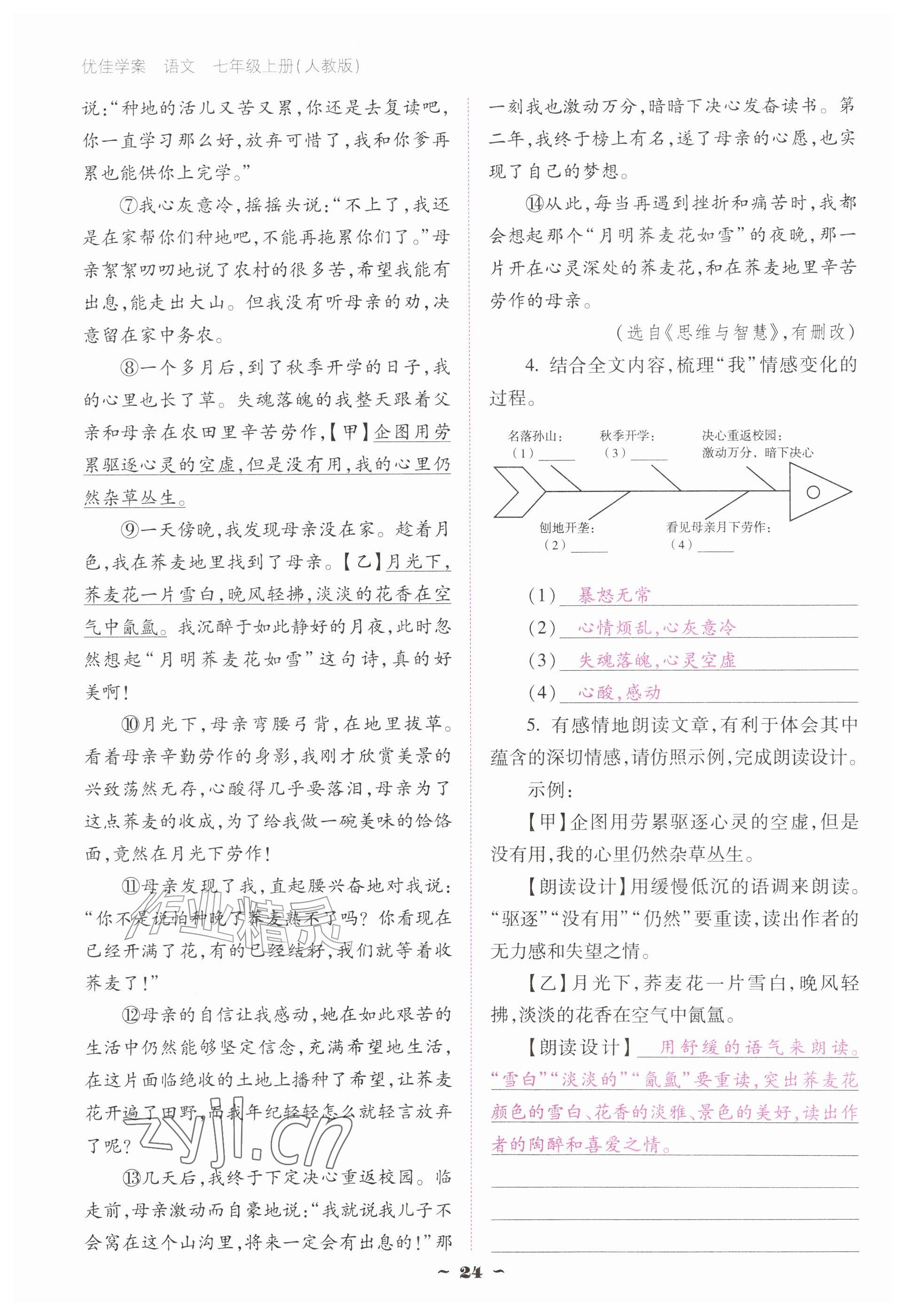 2026年云南省标准教辅优佳学案七年级语文上册人教版&nbsp;参考答案第24页