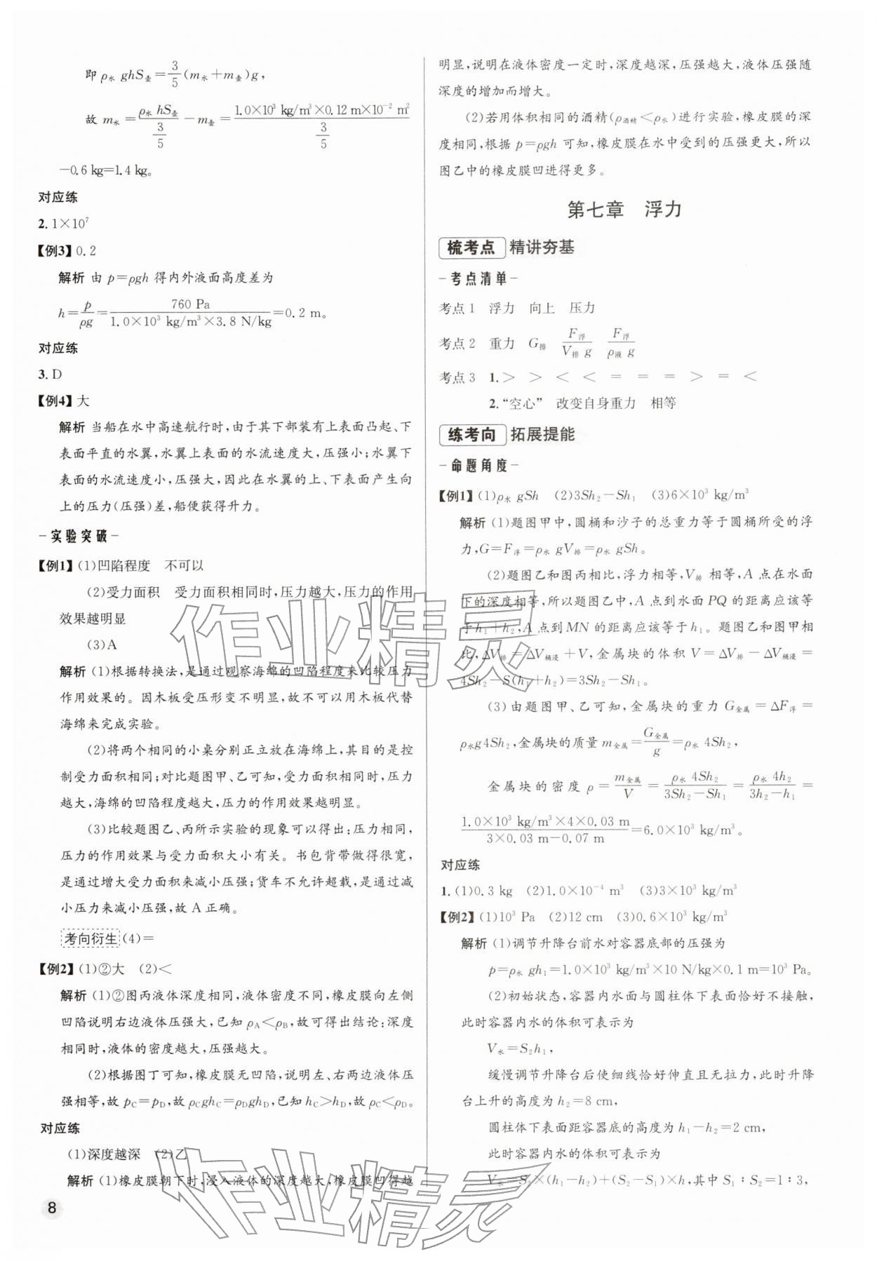 2026年初中毕业综合练习册物理&nbsp;第8页