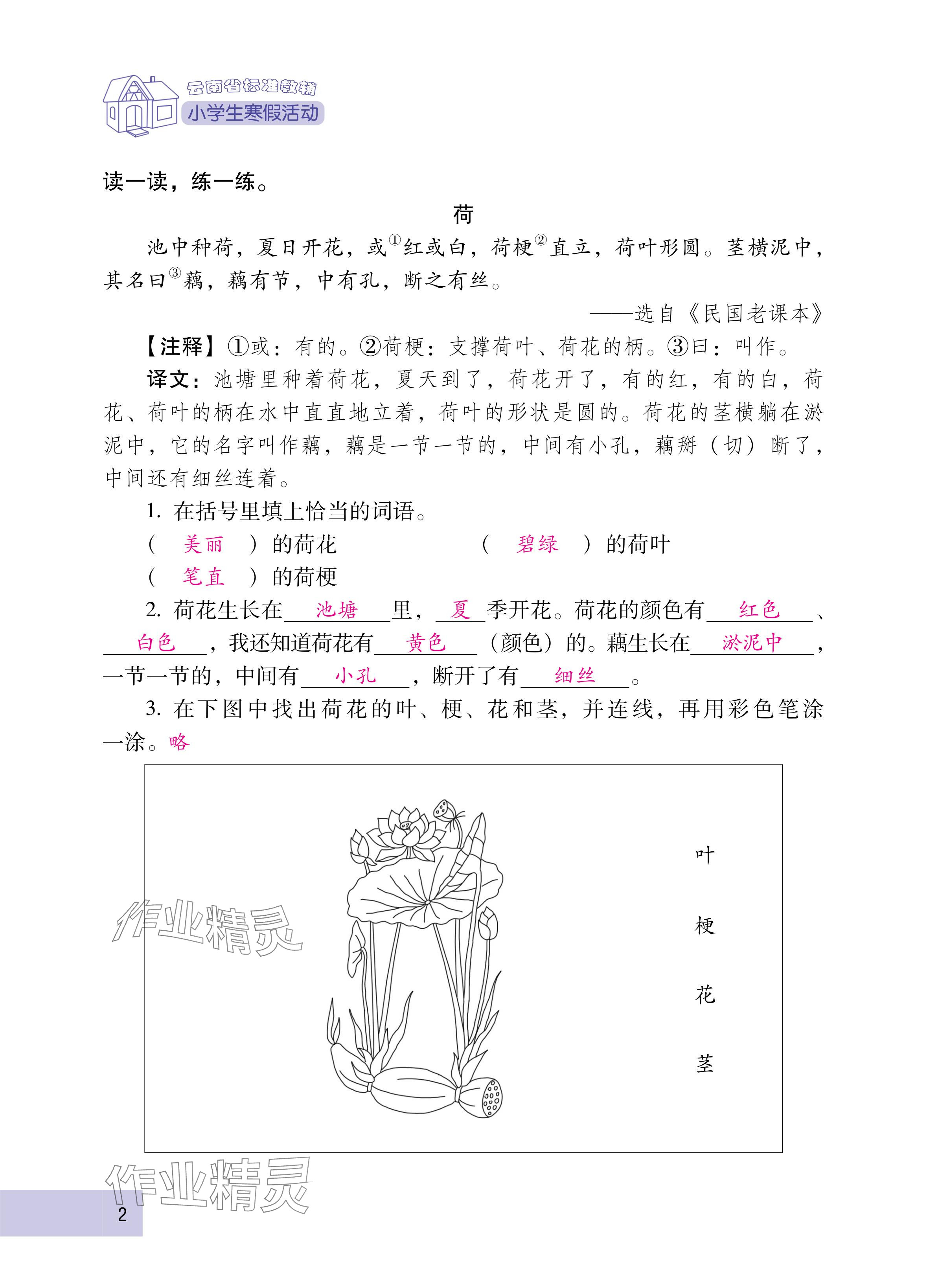 2025年云南省标准教辅寒假活动三年级语文人教版 参考答案第2页