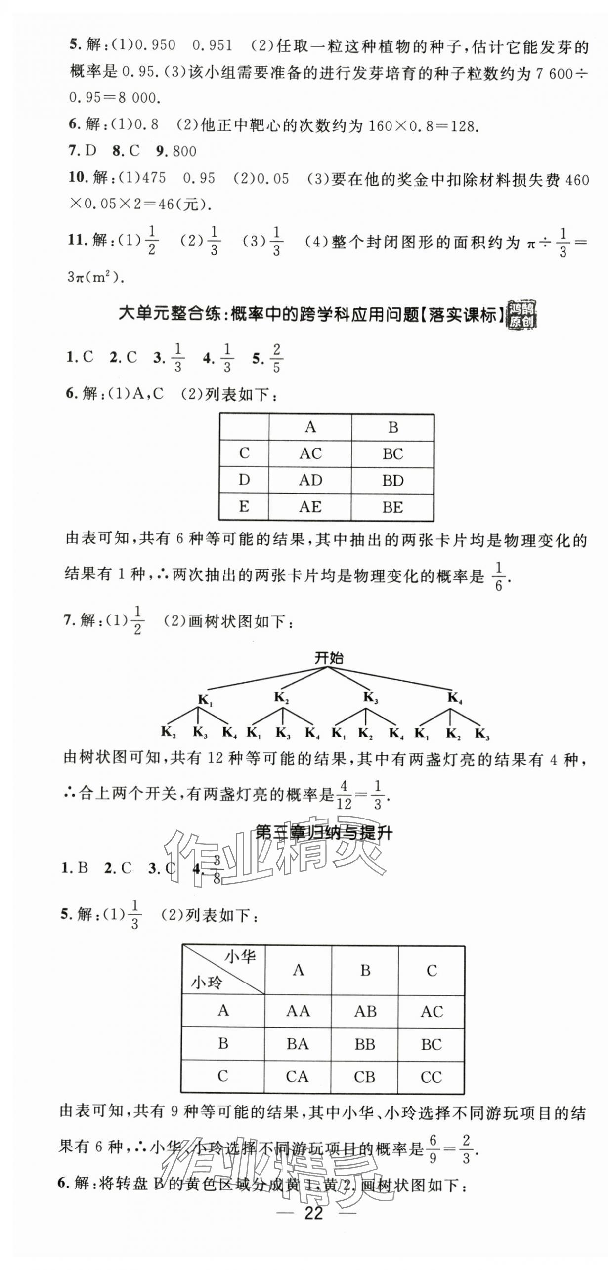 2025年精英新课堂九年级数学全一册北师大版贵州专版 第22页