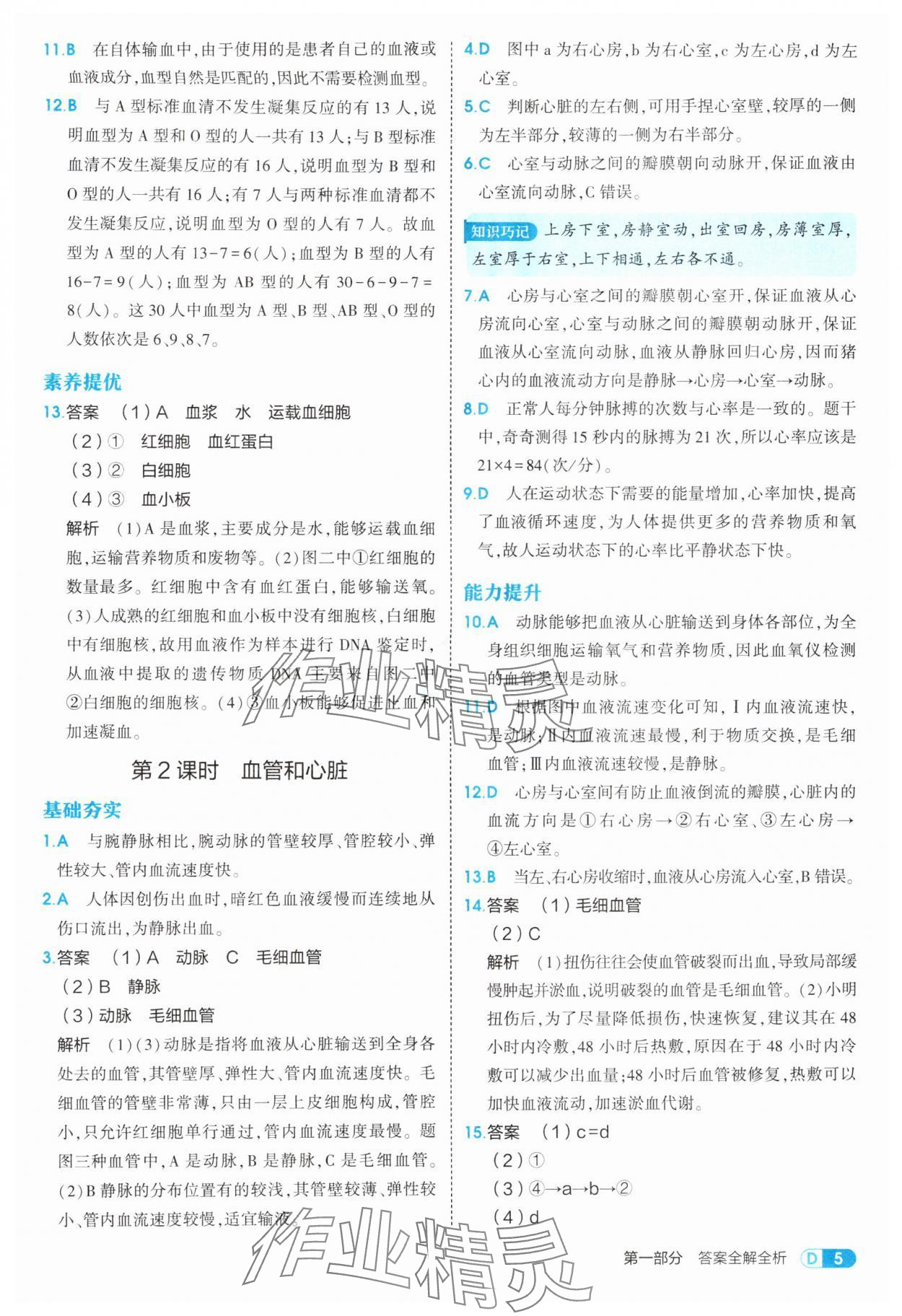 2025年5年中考3年模擬八年級(jí)生物上冊(cè)蘇教版 第5頁(yè)