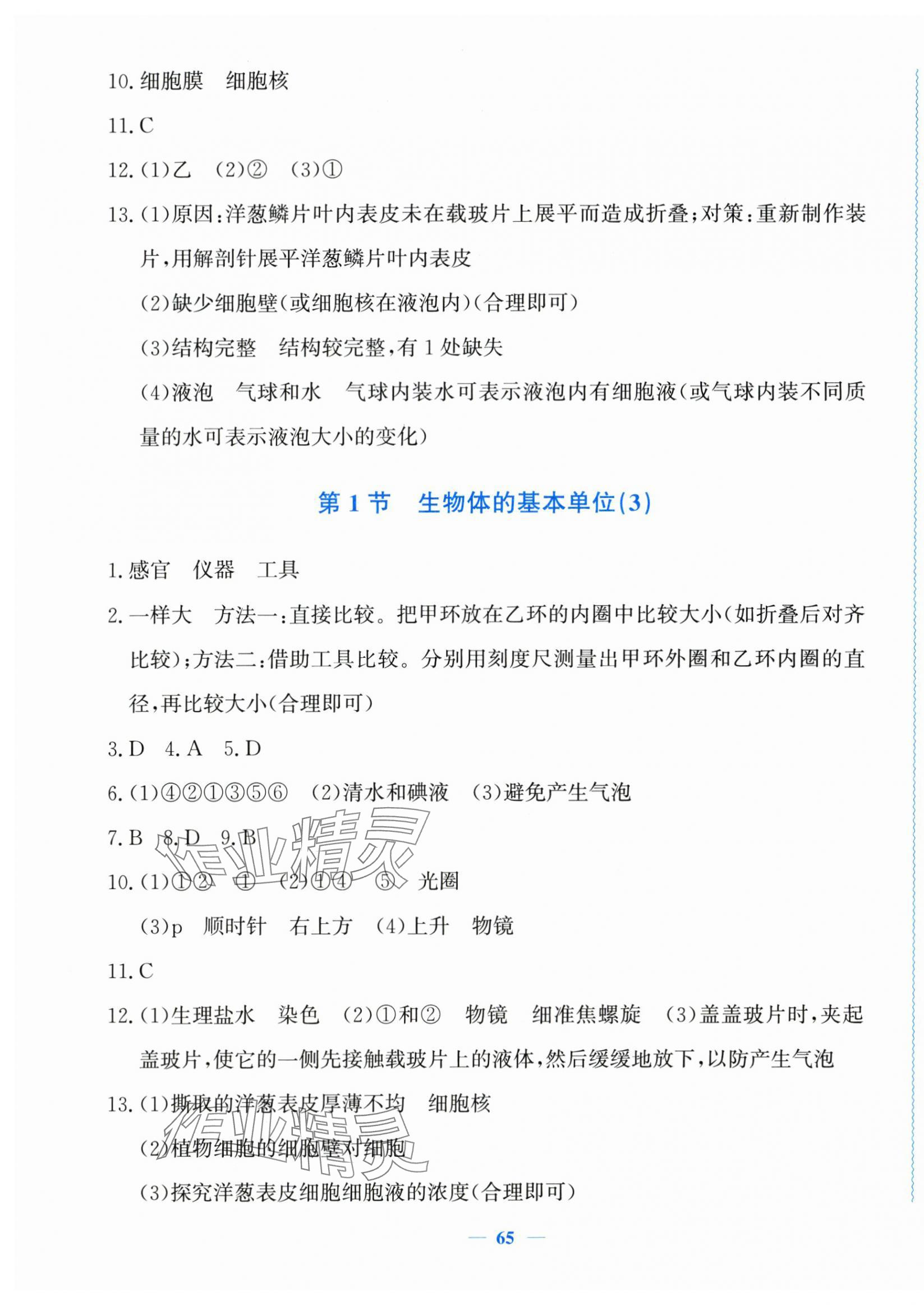 2025年学科能力达标七年级科学上册浙教版 第5页