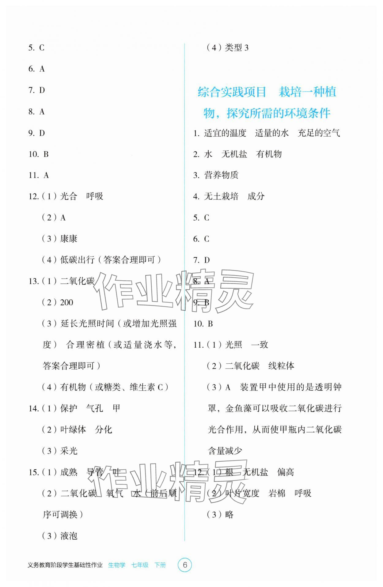 2025年學生基礎性作業七年級生物下冊人教版 第6頁