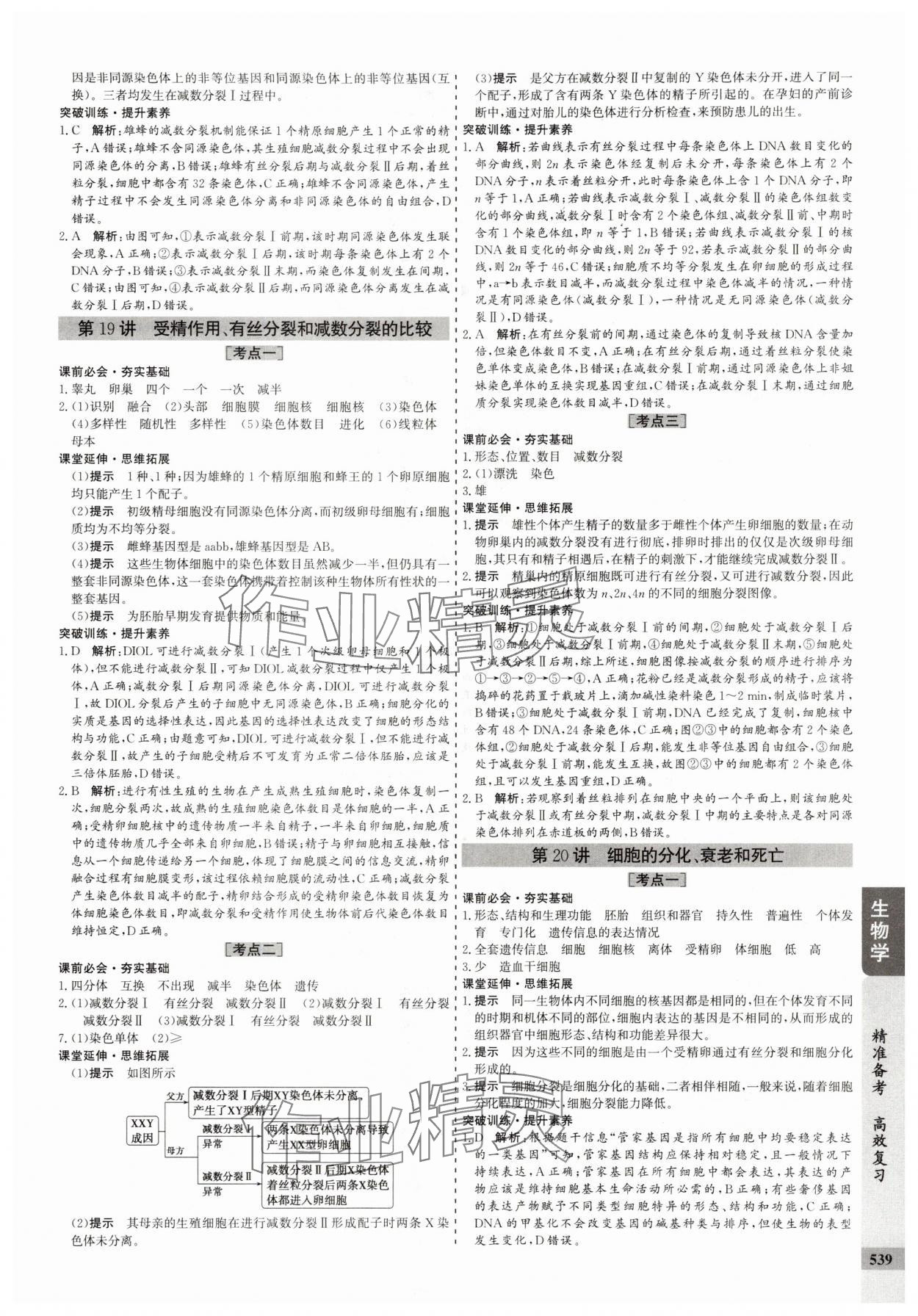 2025年创新思维高考总复习生物 参考答案第15页