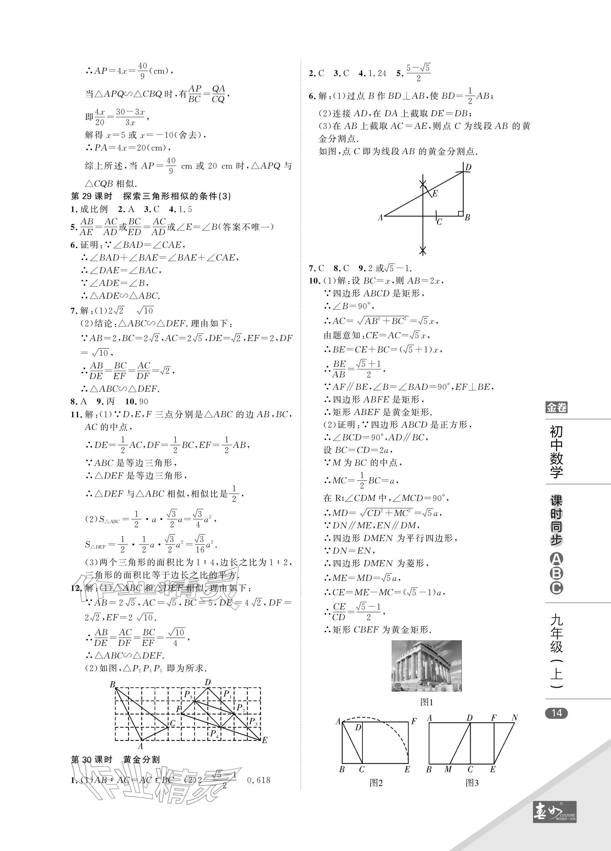 2025年春如金卷課時同步ABC九年級數學上冊北師大版&nbsp;參考答案第14頁