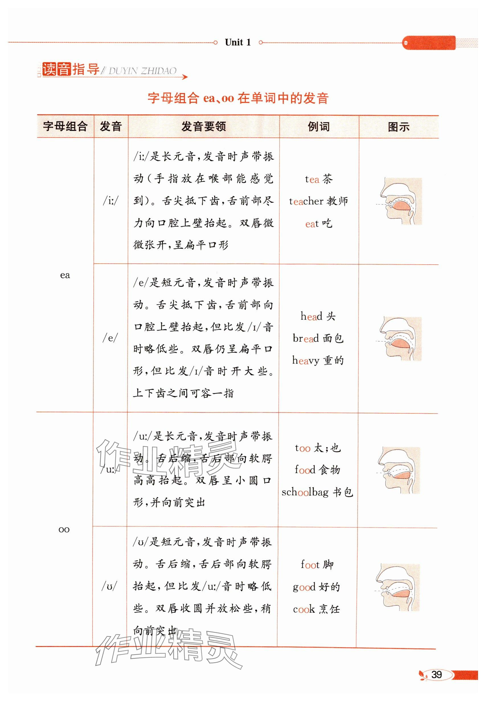 2025年教材課本四年級英語下冊冀教版 參考答案第39頁