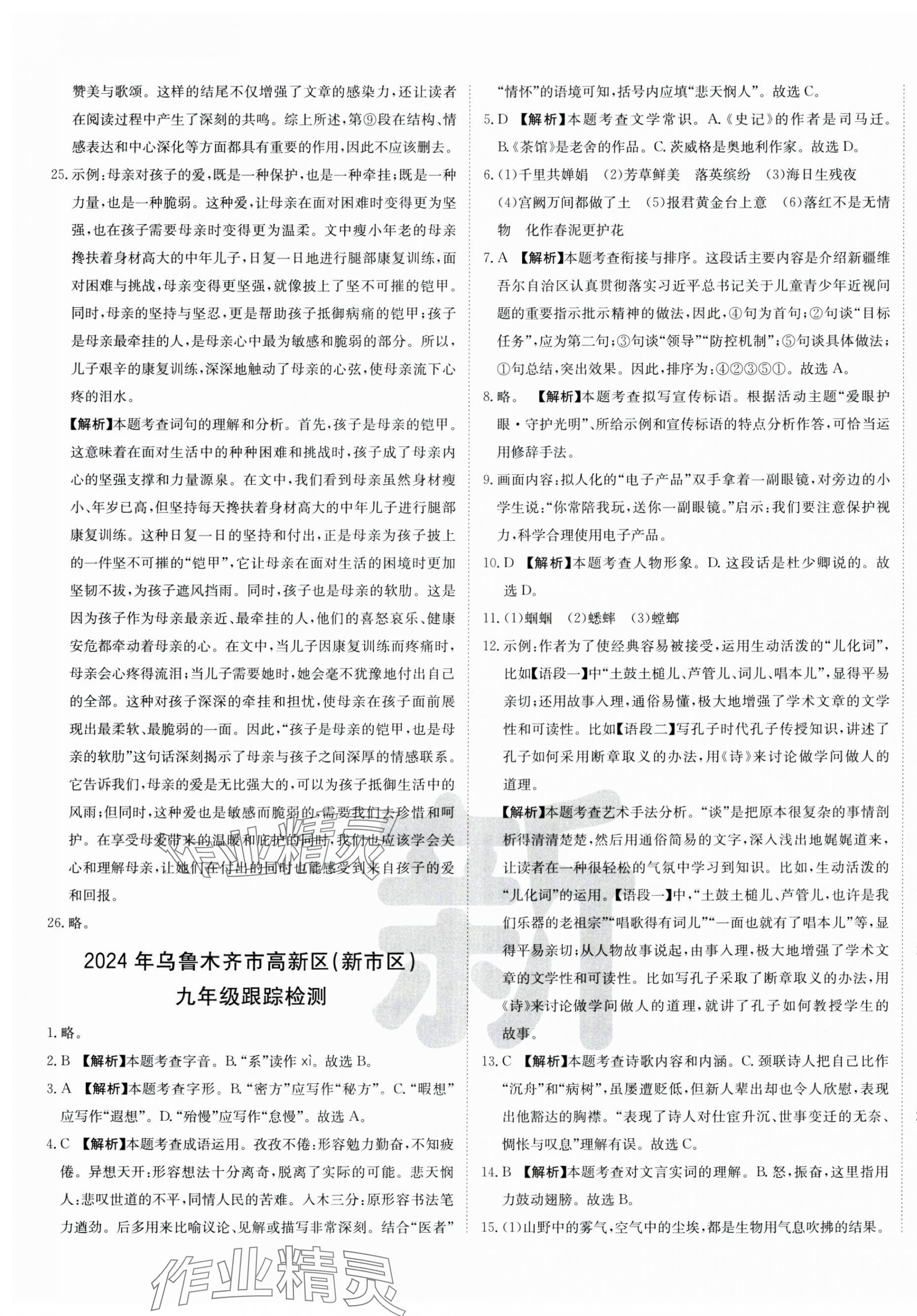 2025年新疆中考真题卷语文&nbsp;第9页