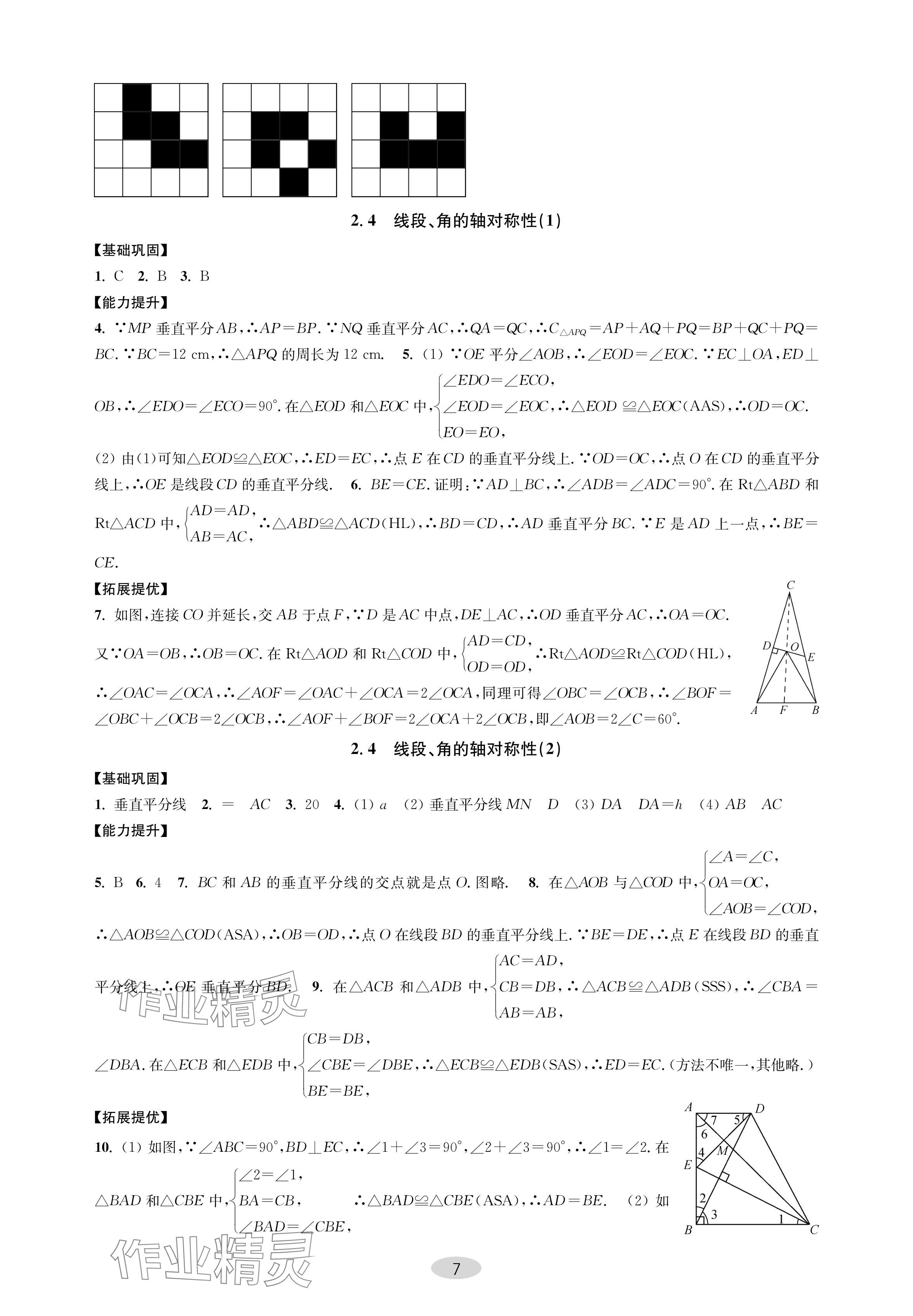 2024年關鍵能力進階八年級數學上冊蘇科版 參考答案第7頁