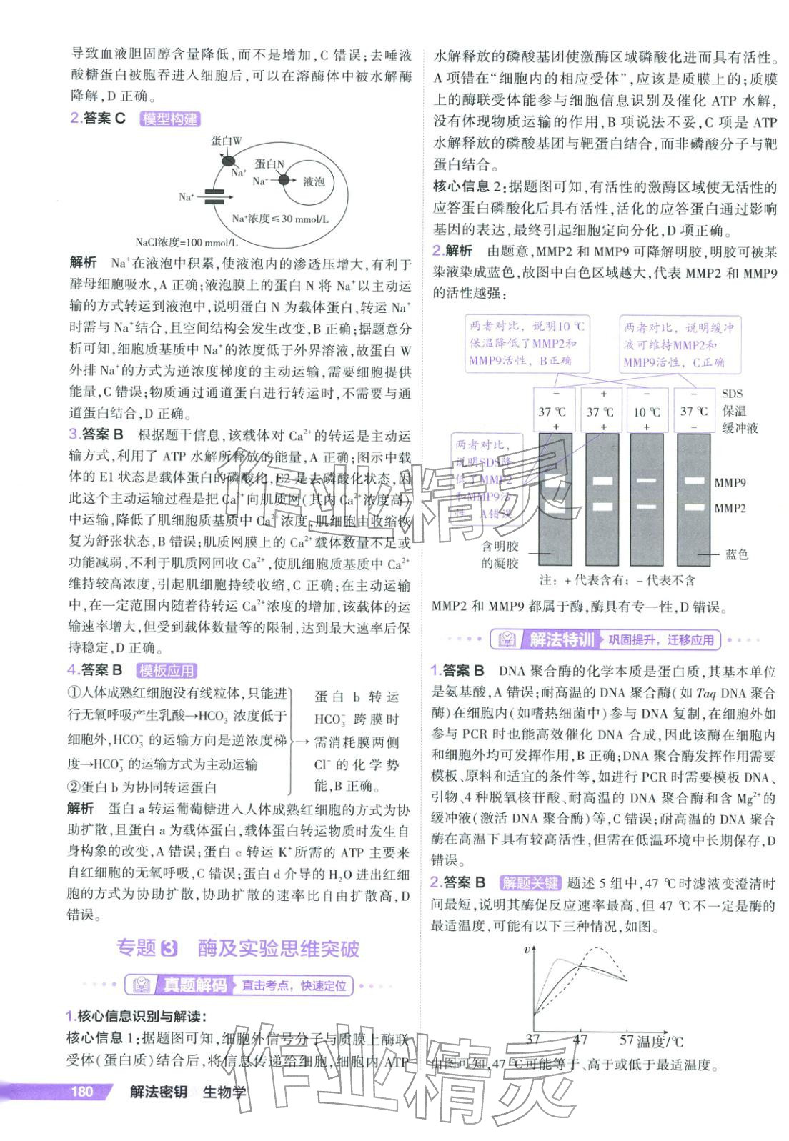 2026年53解法密钥高考生物 第2页