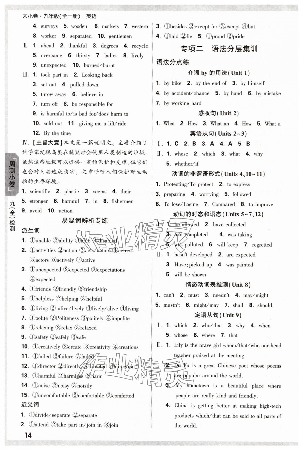 2024年萬唯中考大小卷九年級英語全一冊人教版 參考答案第14頁