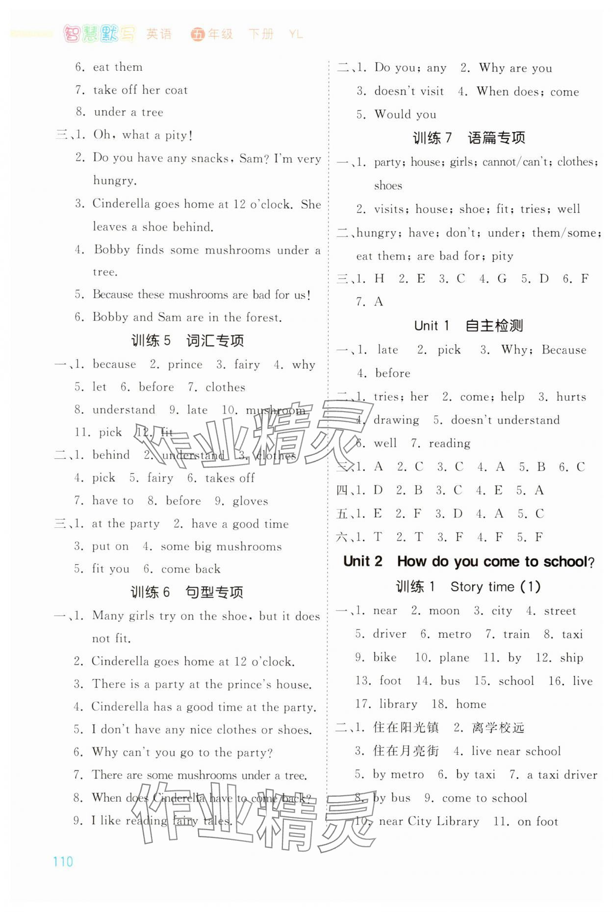 2024年智慧默写五年级英语下册译林版 第2页