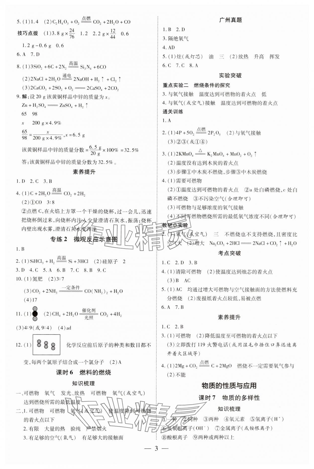 2025年領(lǐng)跑中考化學(xué)廣州專版 第3頁