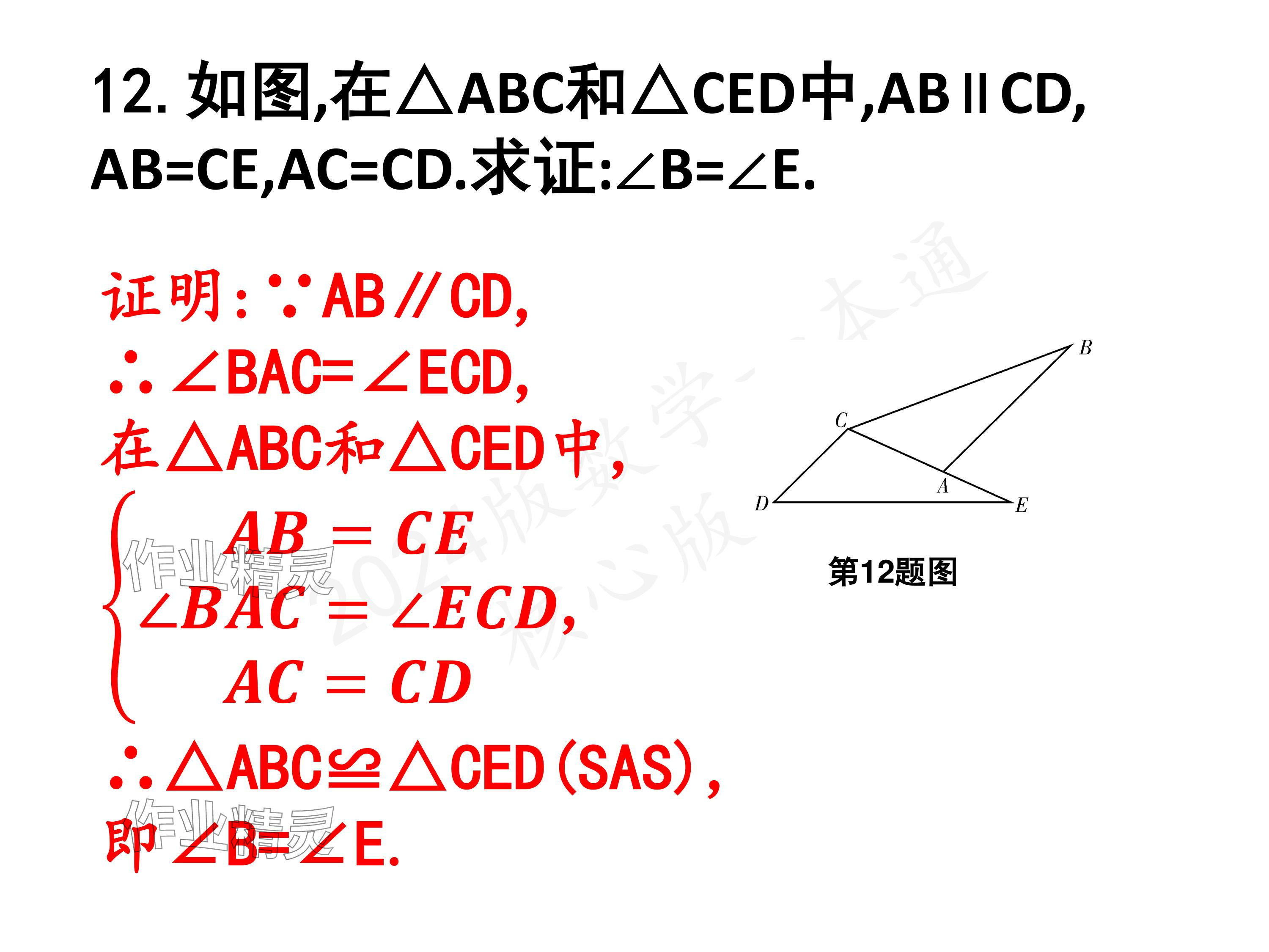 2024年一本通武汉出版社七年级数学下册北师大版 参考答案第38页